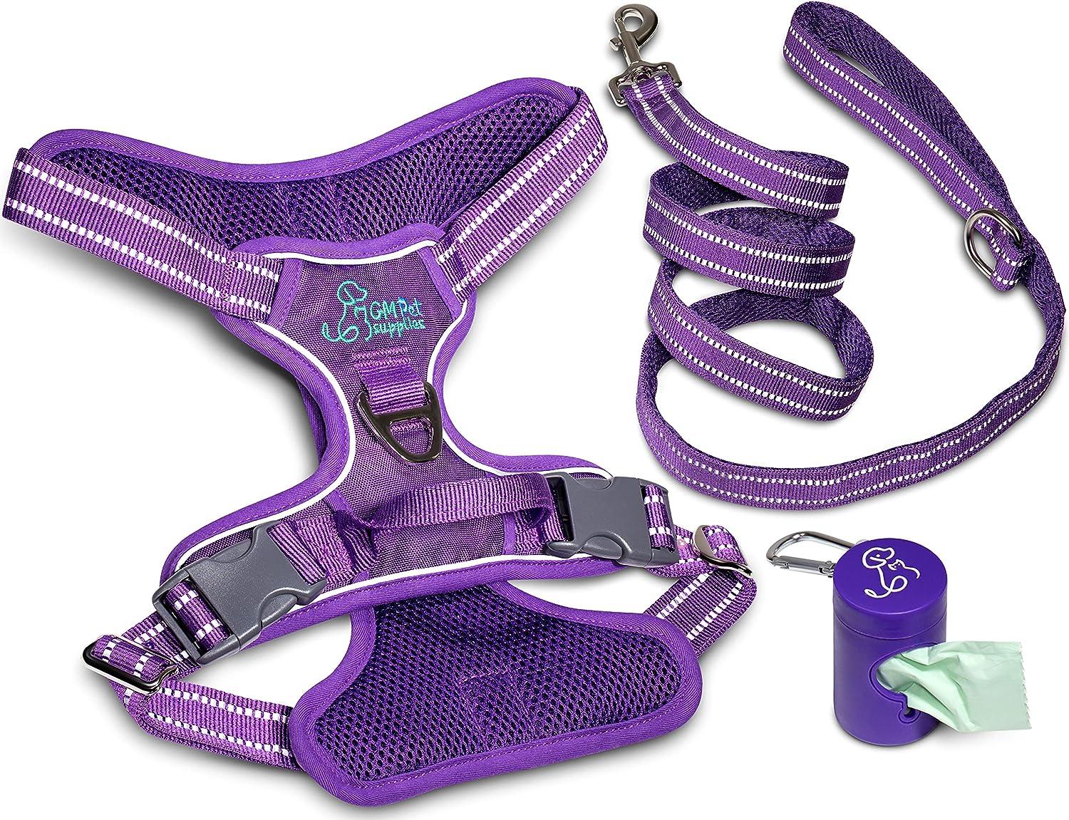 Dog Harness Walking kit and Leash Set