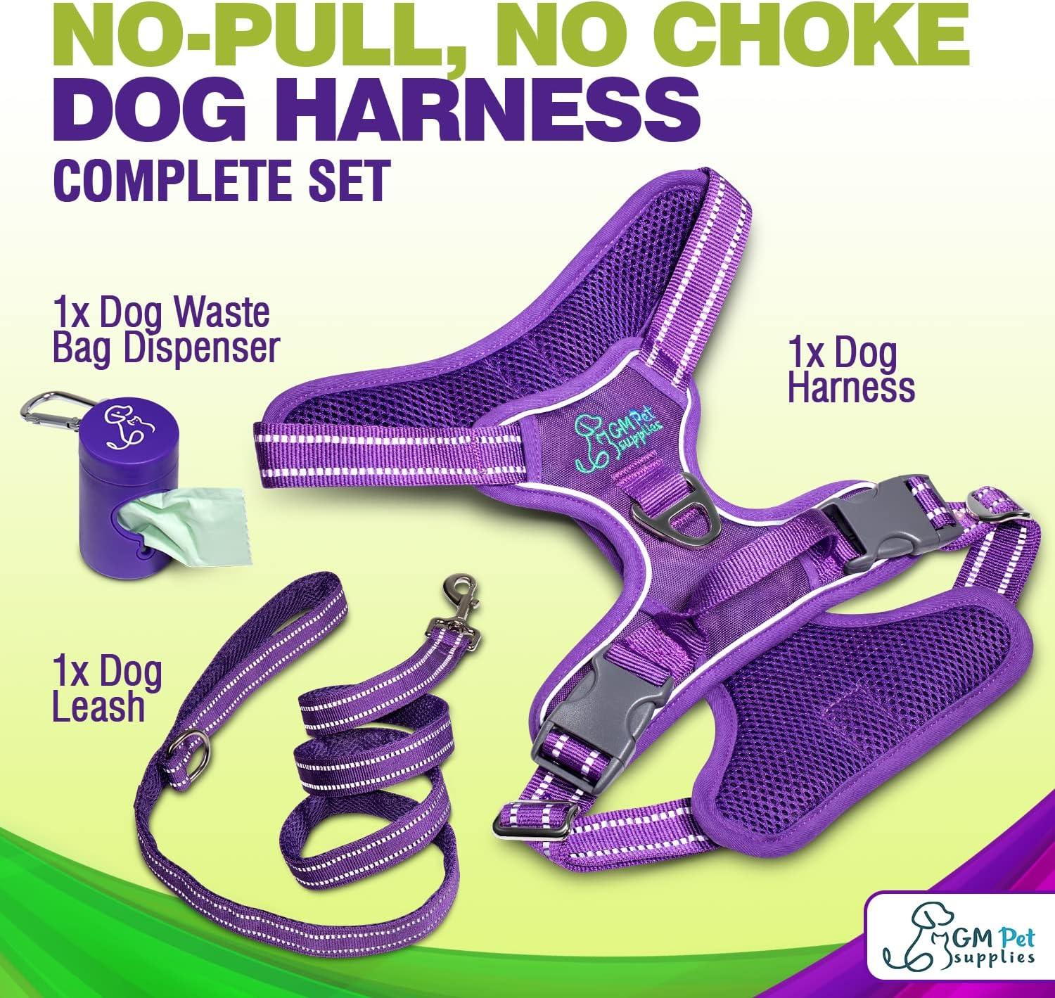 Dog Harness Walking kit and Leash Set