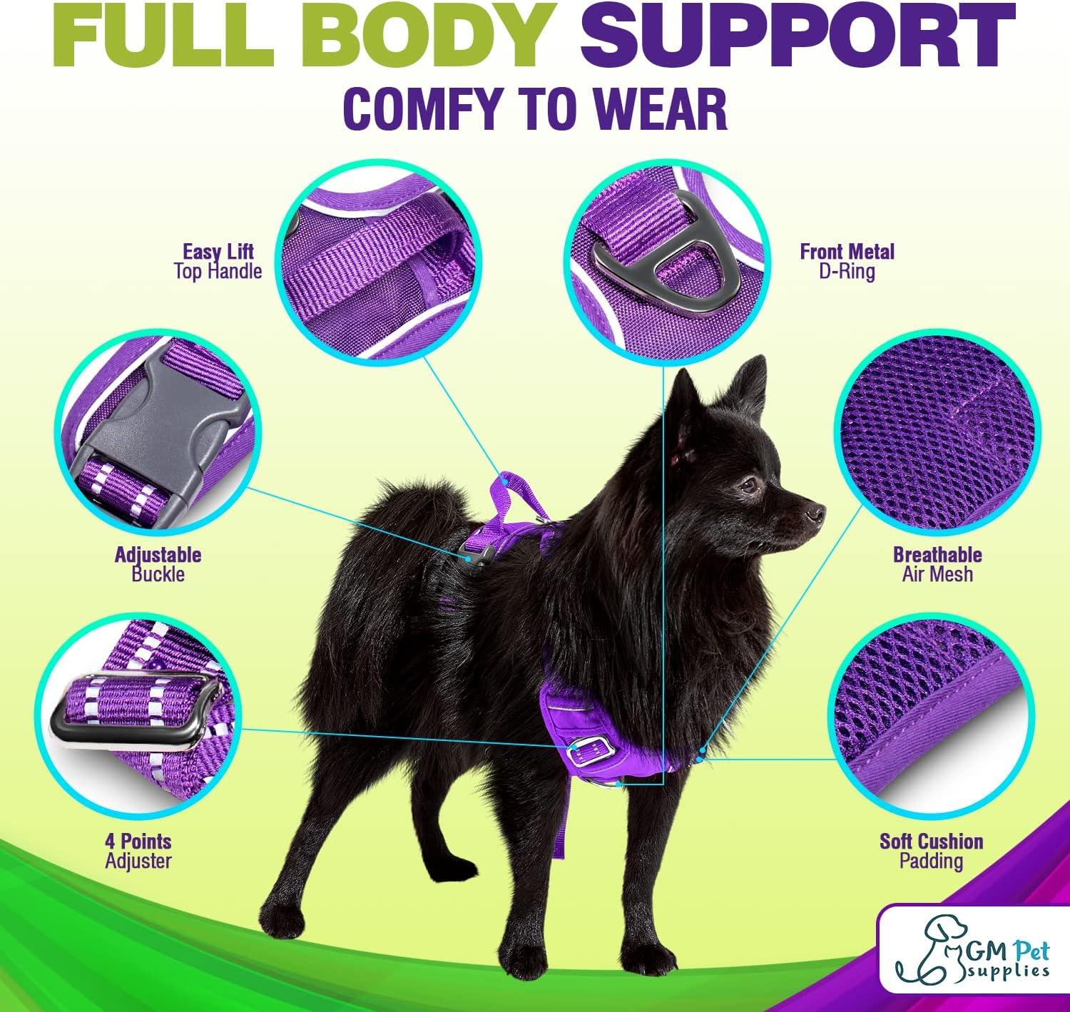 Dog Harness Walking kit and Leash Set
