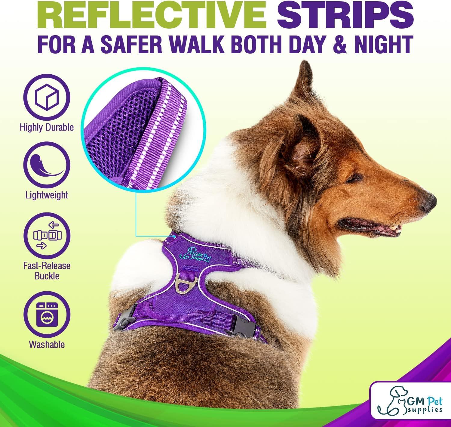 Dog Harness Walking kit and Leash Set