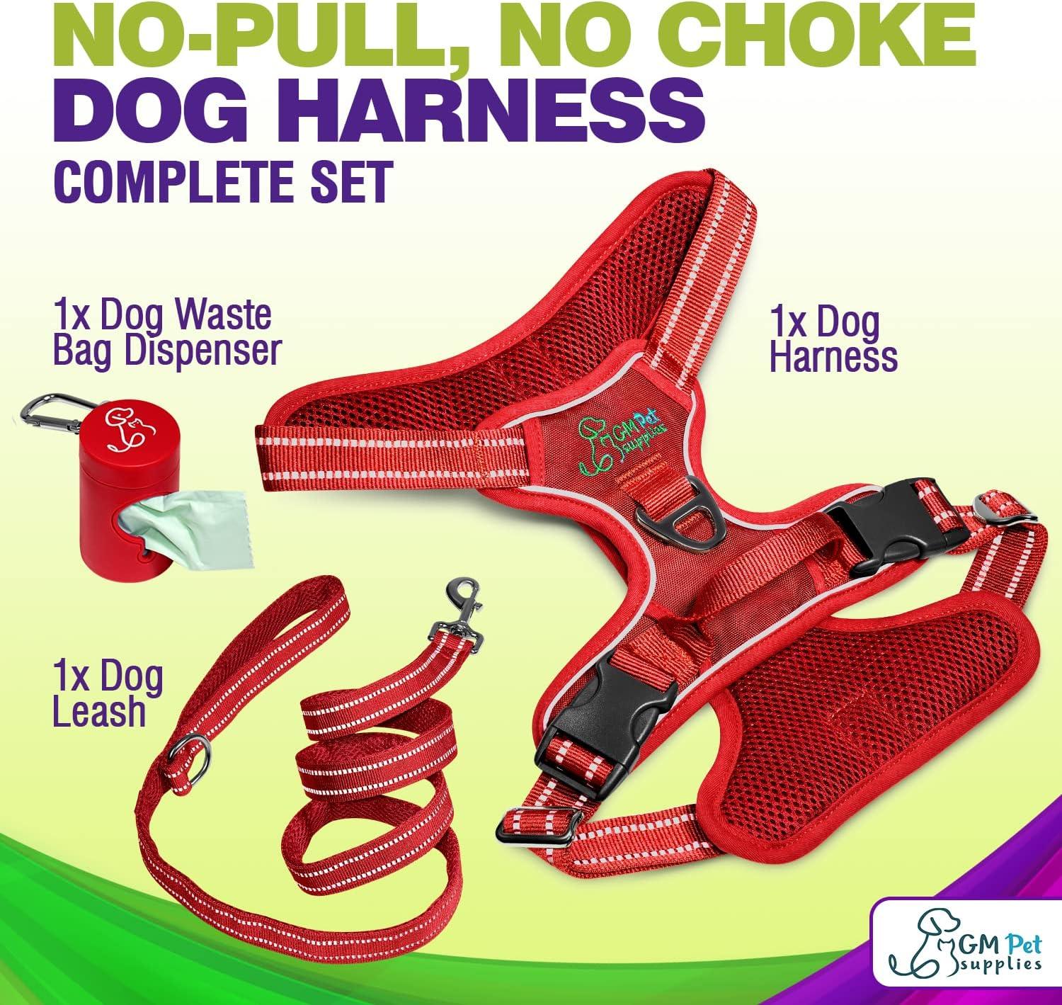 Dog Harness Walking kit and Leash Set