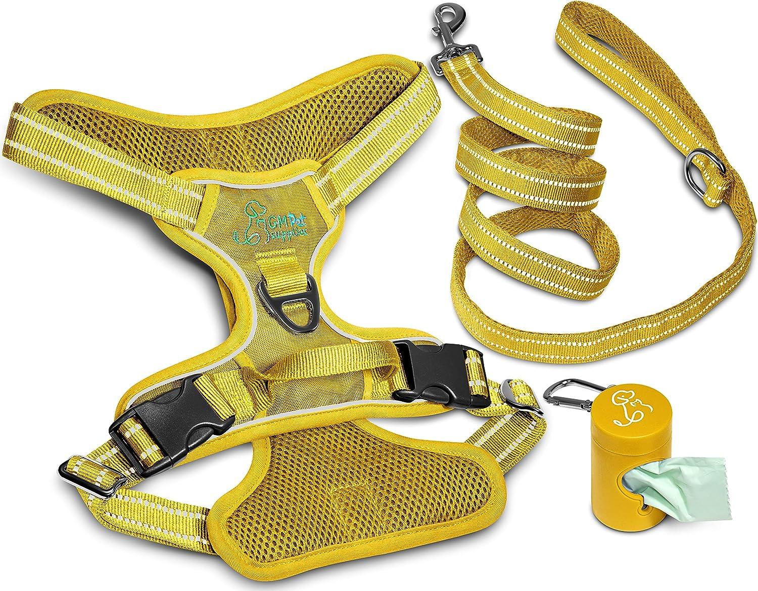 Dog Harness Walking kit and Leash Set