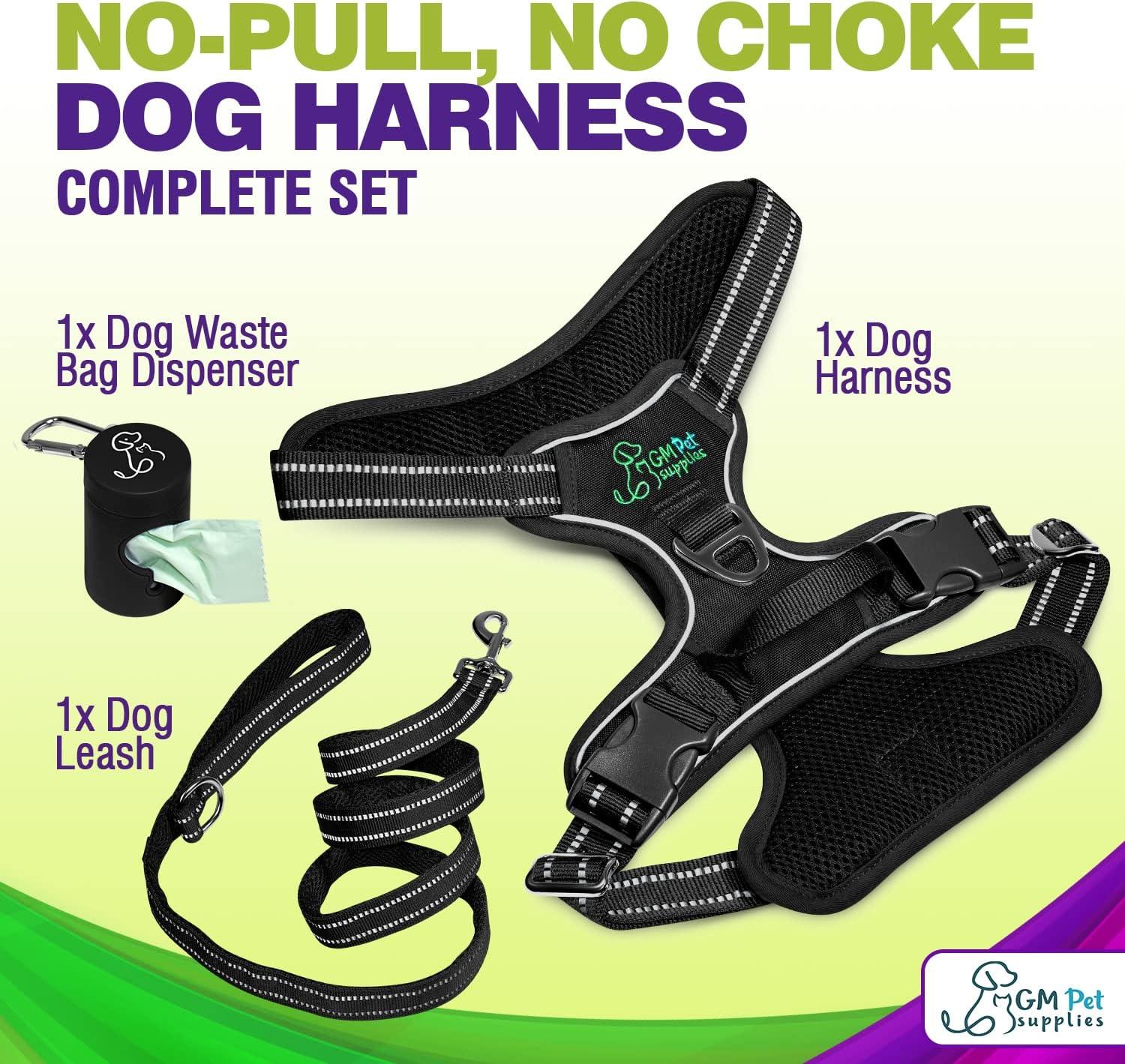 Dog Harness Walking kit and Leash Set