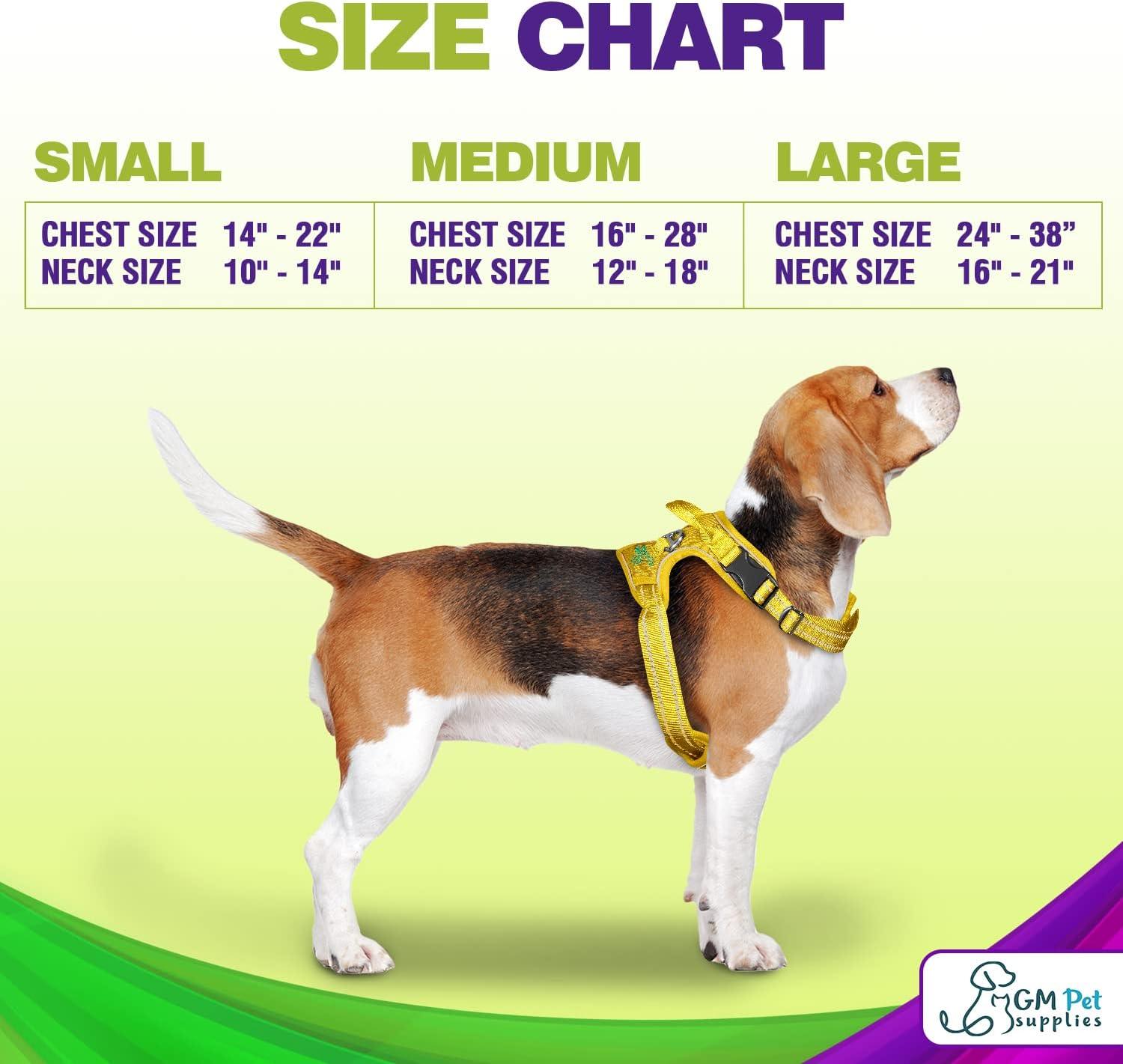 Dog Harness Walking kit and Leash Set