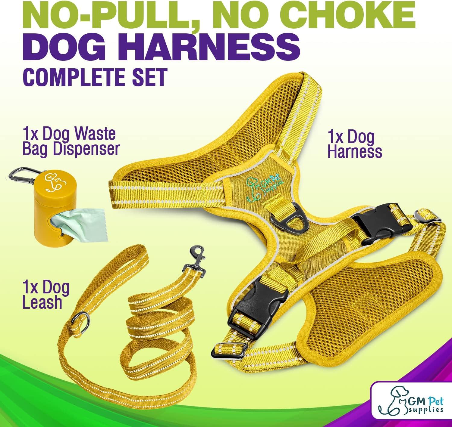 Dog Harness Walking kit and Leash Set