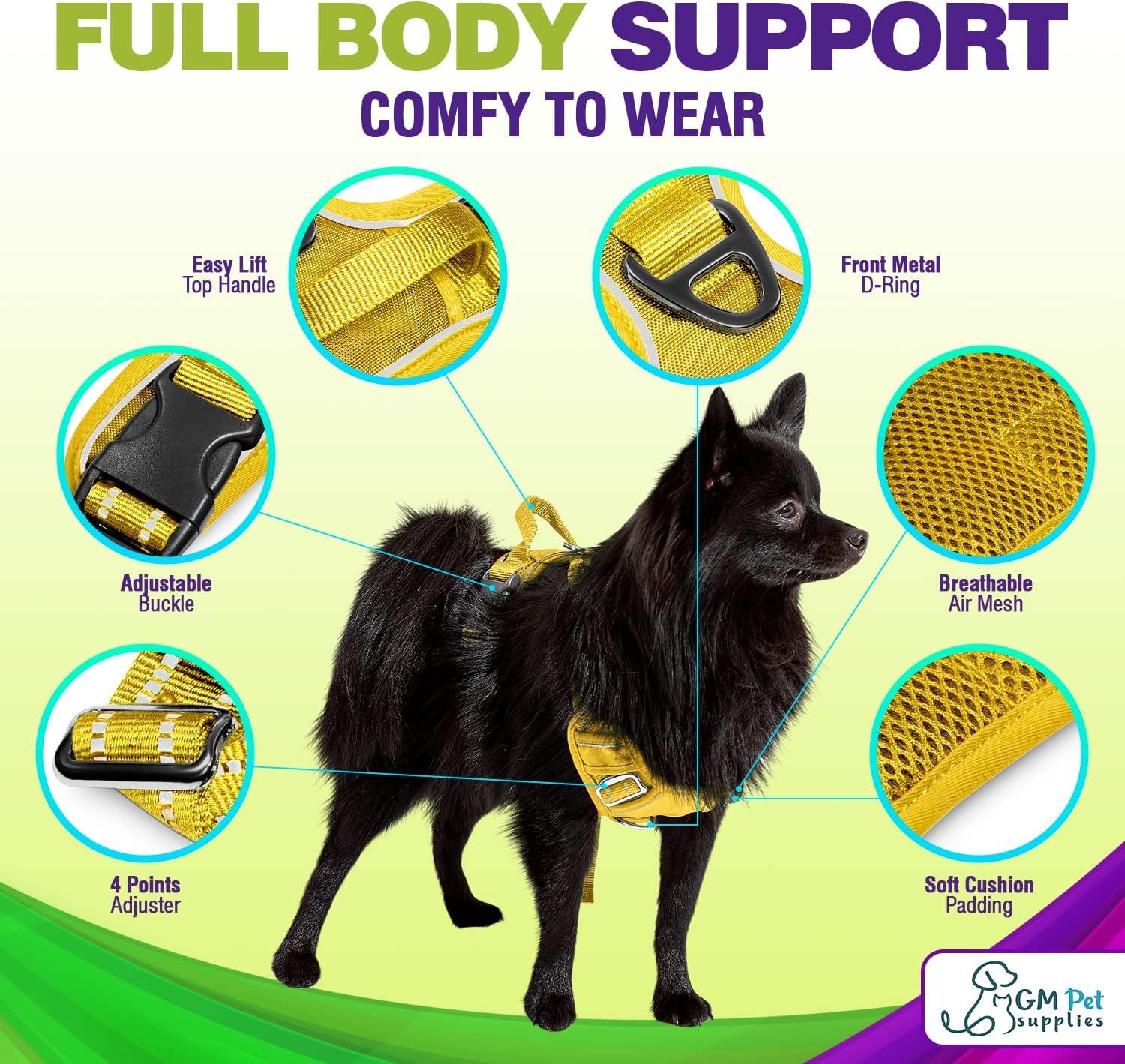 Dog Harness Walking kit and Leash Set