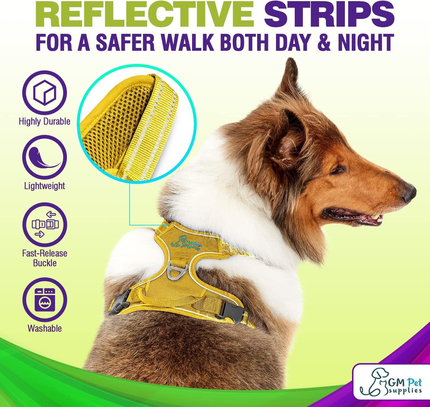 Dog Harness Walking kit and Leash Set