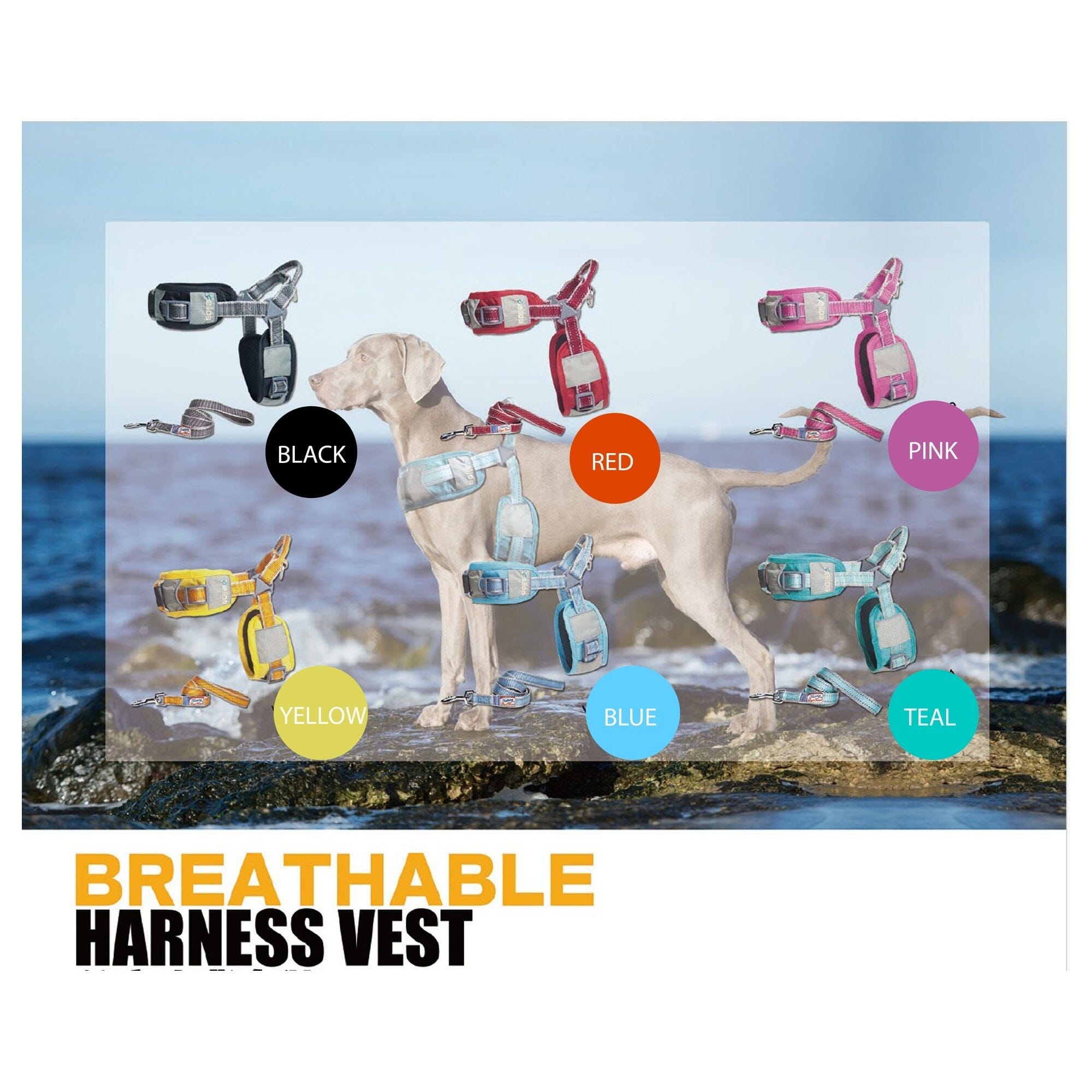 Dog Helios Geo-turf Performance Adjustible and Reflective Dog Harness and Leash | HT Animal Supply