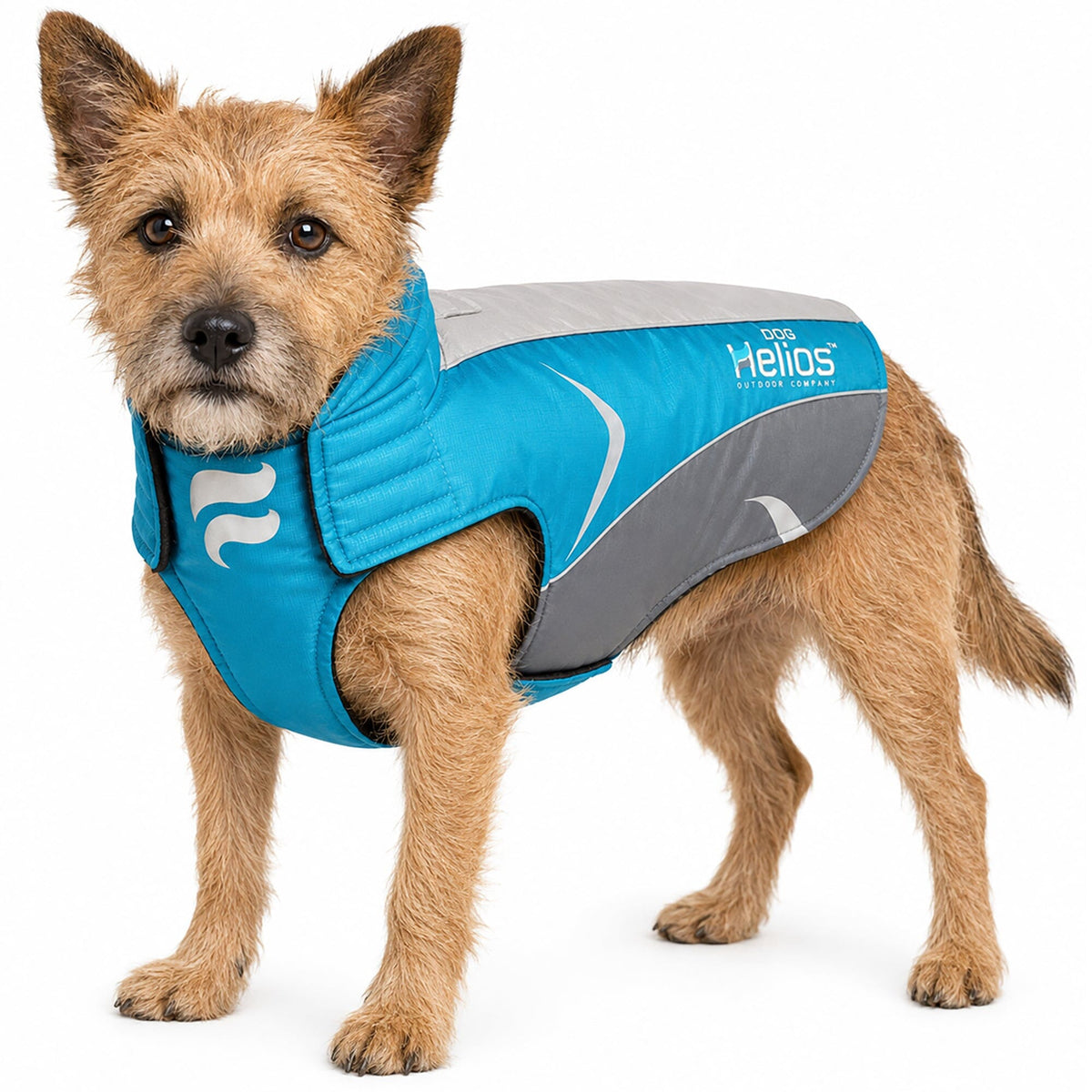 Dog Helios Altitude-Mountaineer Wrap-Hook-and-Loop Waterproof Dog Coat | HT Animal Supply