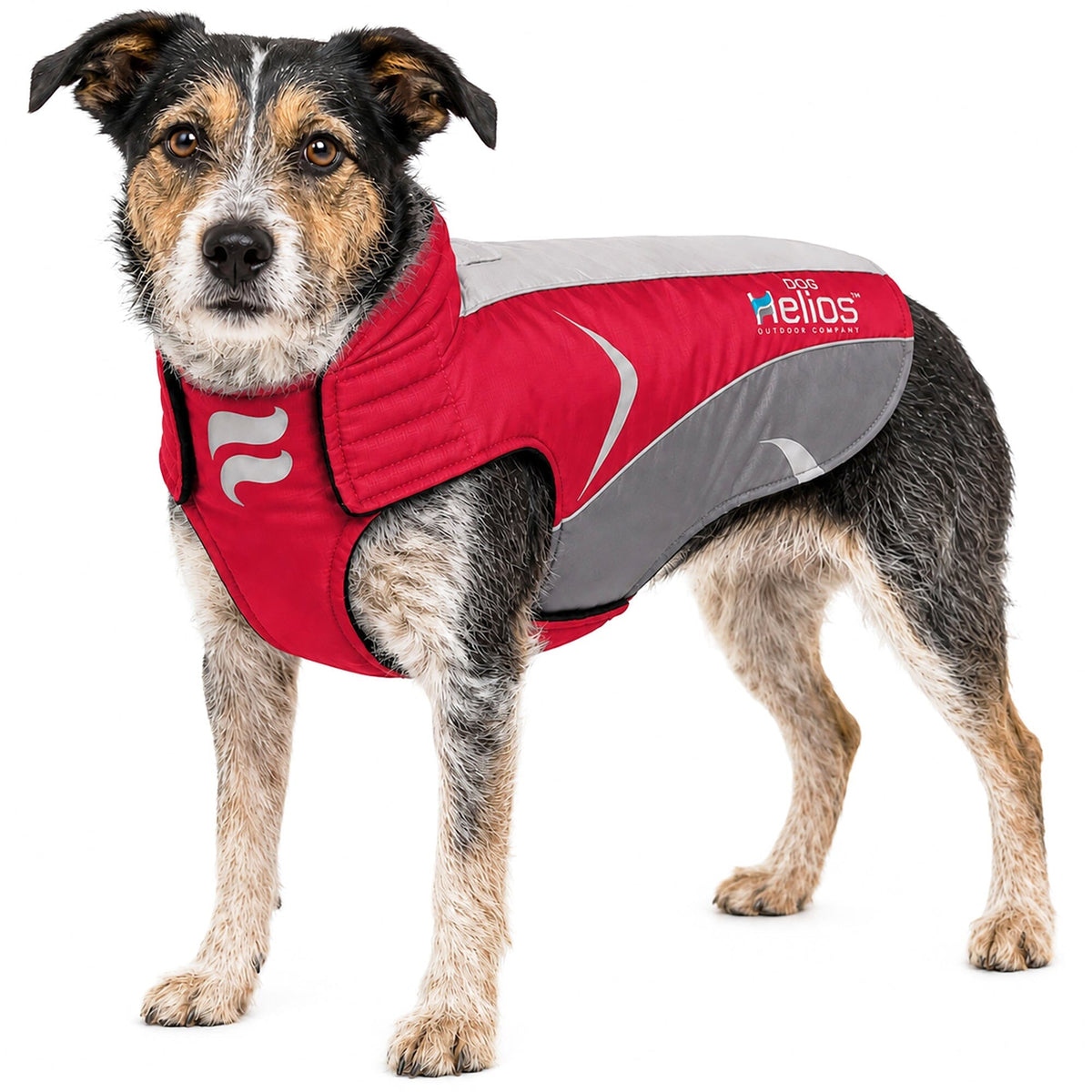 Dog Helios Altitude-Mountaineer Wrap-Hook-and-Loop Waterproof Dog Coat | HT Animal Supply