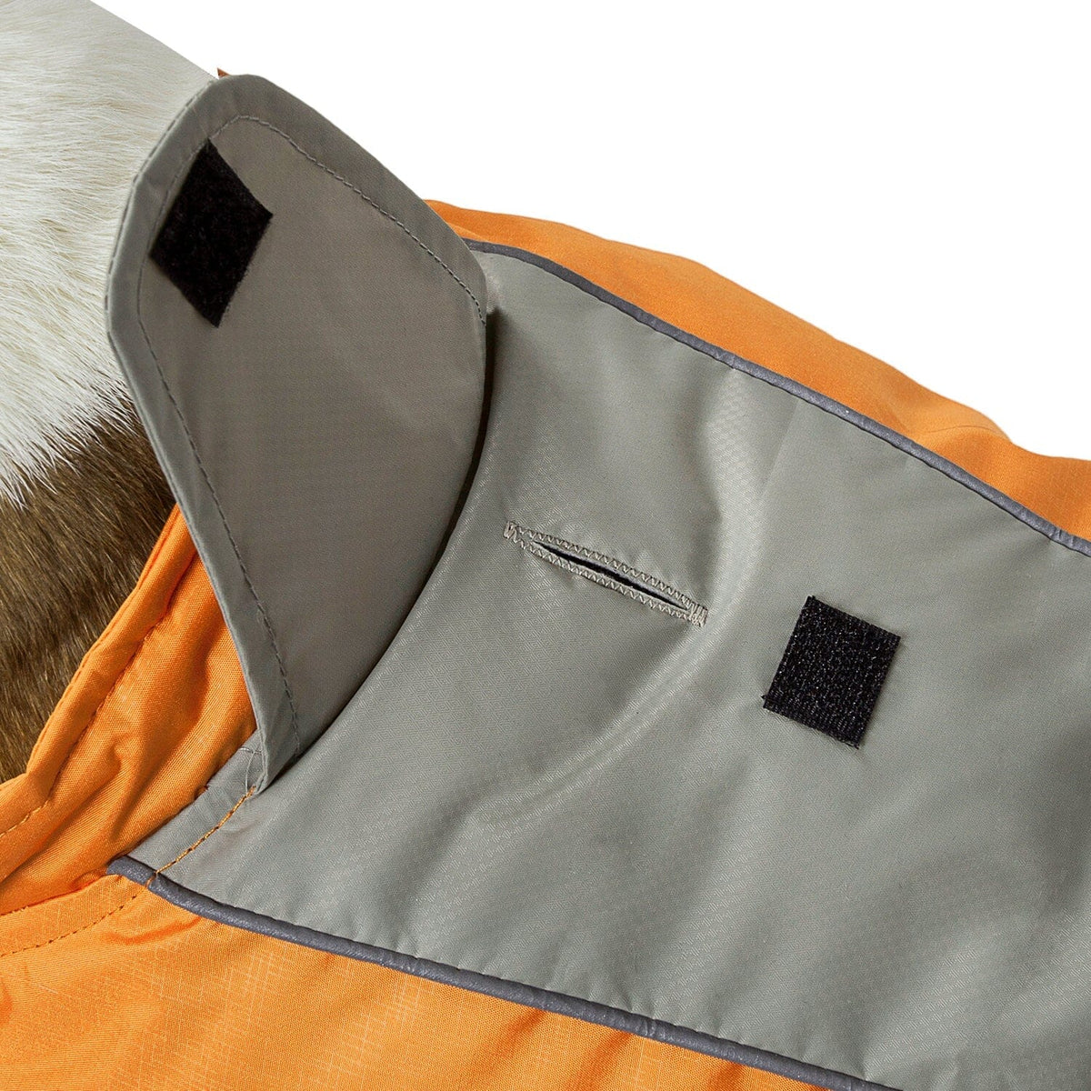 Dog Helios Altitude-Mountaineer Wrap-Hook-and-Loop Waterproof Dog Coat | HT Animal Supply