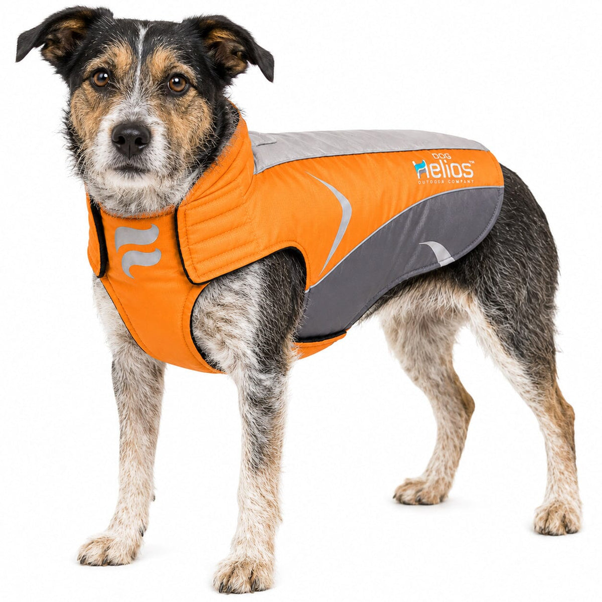 Dog Helios Altitude-Mountaineer Wrap-Hook-and-Loop Waterproof Dog Coat | HT Animal Supply