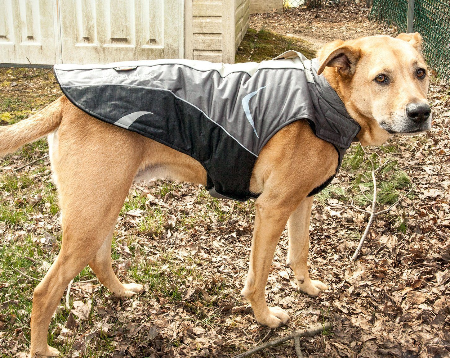 Dog Helios Altitude-Mountaineer Wrap-Hook-and-Loop Waterproof Dog Coat