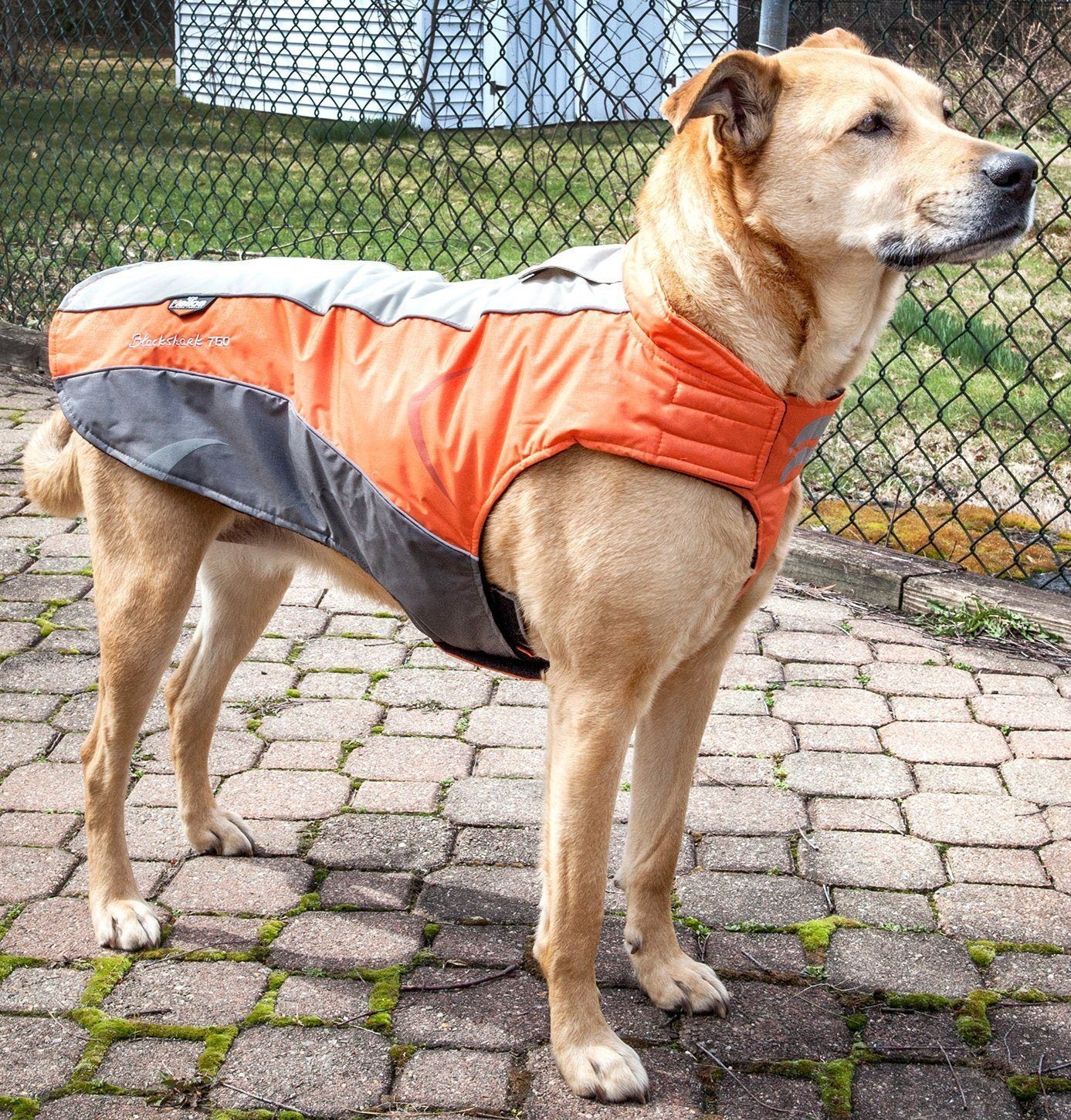 Dog Helios Altitude-Mountaineer Wrap-Hook-and-Loop Waterproof Dog Coat