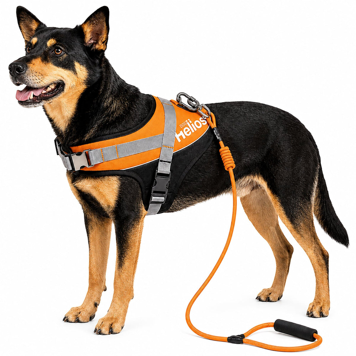 Dog Helios Bark-Mudder 2-in-1 Reflective and Adjustable Sporty Dog Harness and Leash | HT Animal Supply