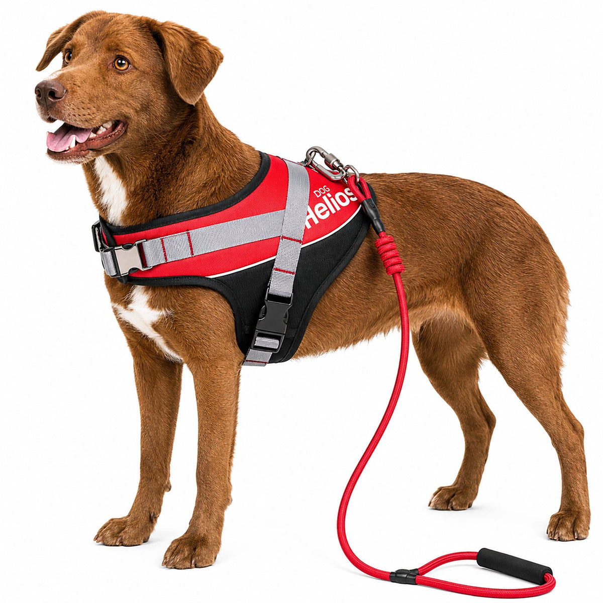 Dog Helios Bark-Mudder 2-in-1 Reflective and Adjustable Sporty Dog Harness and Leash | HT Animal Supply