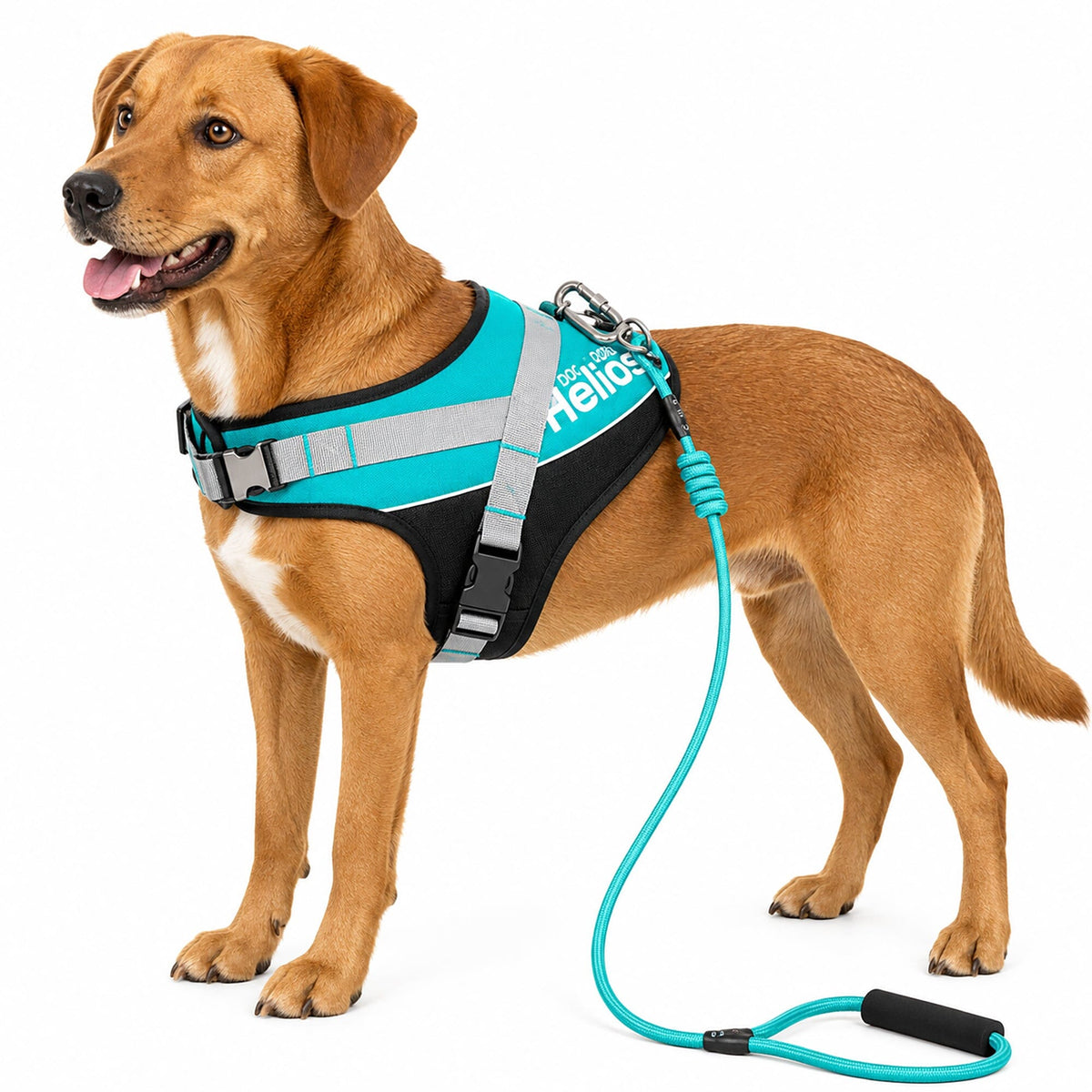 Dog Helios Bark-Mudder 2-in-1 Reflective and Adjustable Sporty Dog Harness and Leash | HT Animal Supply