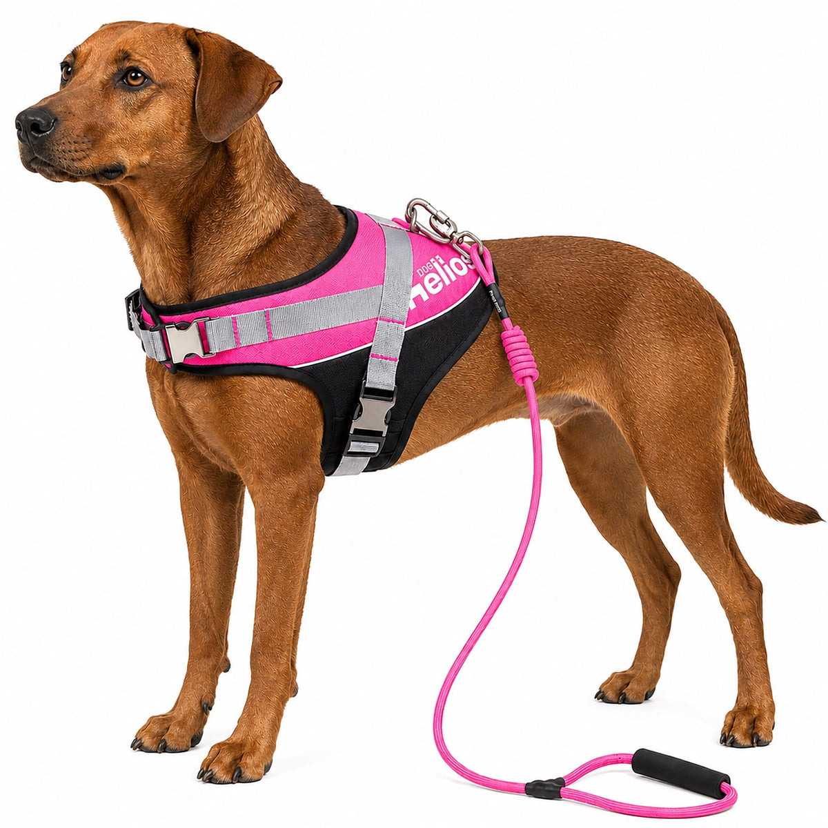Dog Helios Bark-Mudder 2-in-1 Reflective and Adjustable Sporty Dog Harness and Leash | HT Animal Supply