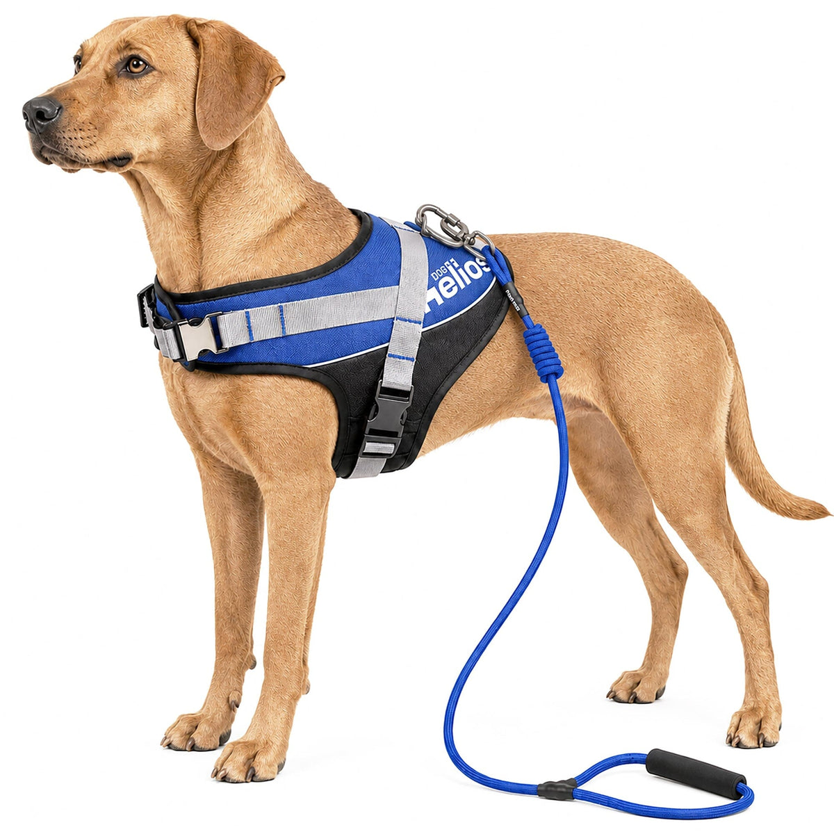 Dog Helios Bark-Mudder 2-in-1 Reflective and Adjustable Sporty Dog Harness and Leash | HT Animal Supply