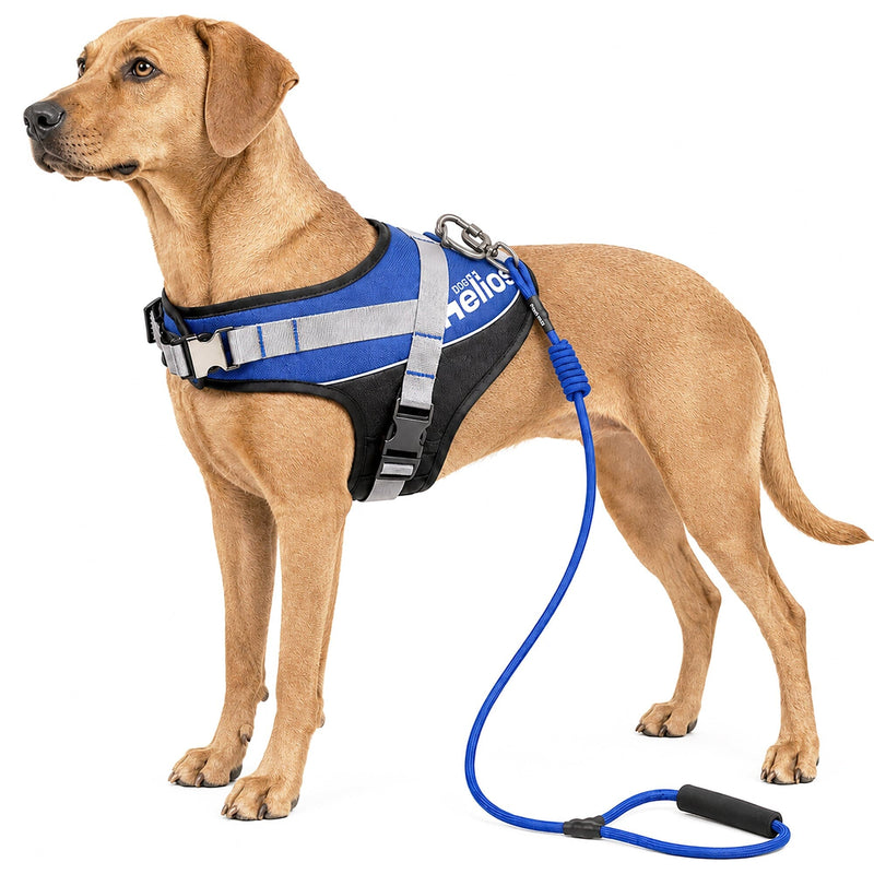 Dog Helios Bark-Mudder 2-in-1 Reflective and Adjustable Sporty Dog Harness and Leash | HT Animal Supply