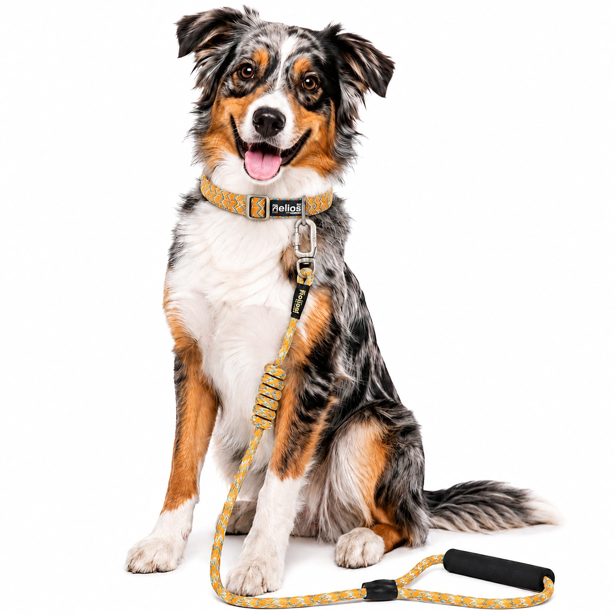 Dog Helios Dura-Tough 2-in-1 Reflective Adjustable Fashion Dog Leash and Collar | HT Animal Supply