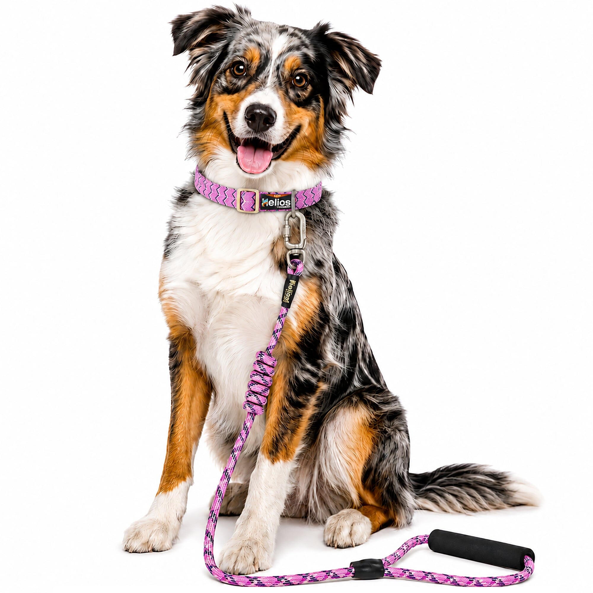 Dog Helios Dura-Tough 2-in-1 Reflective Adjustable Fashion Dog Leash and Collar | HT Animal Supply