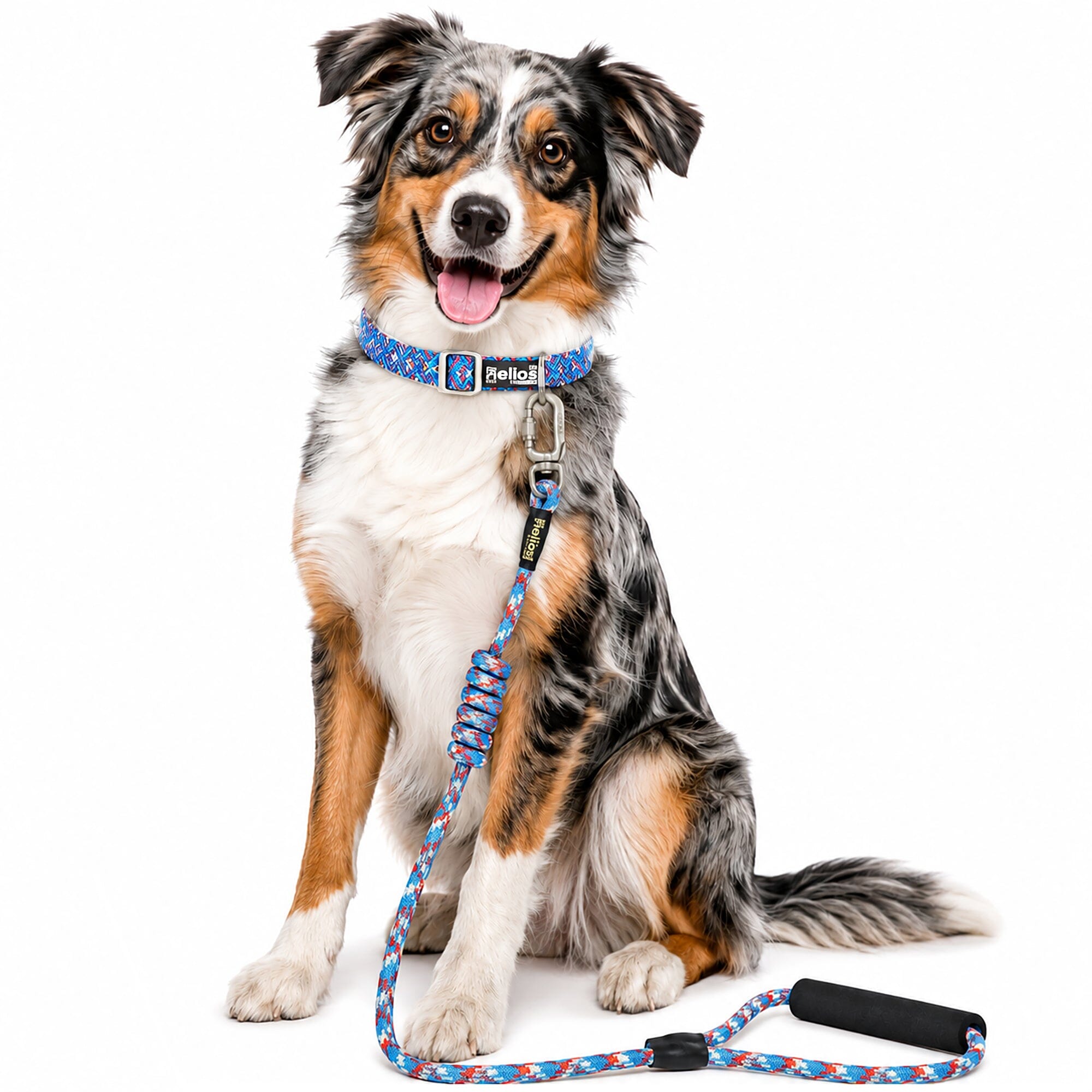 Dog Helios Dura-Tough 2-in-1 Reflective Adjustable Fashion Dog Leash and Collar | HT Animal Supply