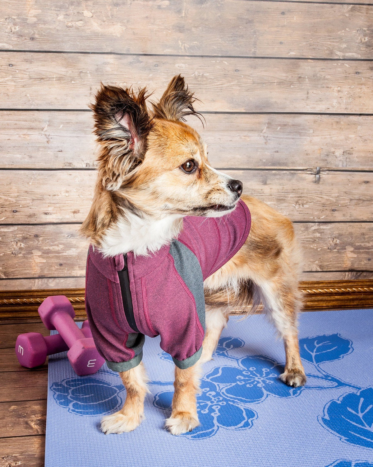 Dog Helios Eboneflow Mediumweight 4-Way-Stretch Flexible And Breathable Performance Dog Yoga T-Shirt