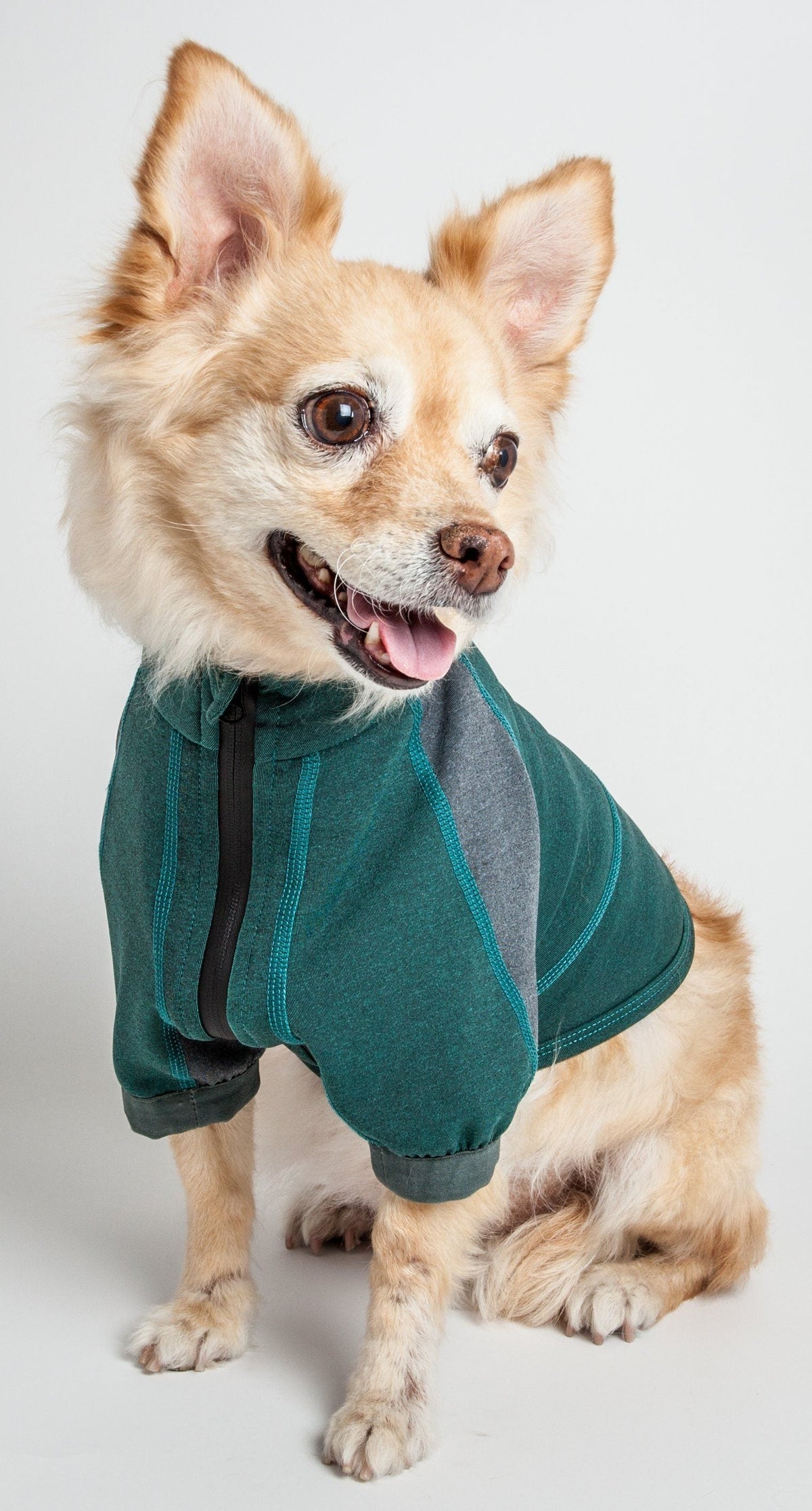 Dog Helios Eboneflow Mediumweight 4-Way-Stretch Flexible And Breathable Performance Dog Yoga T-Shirt