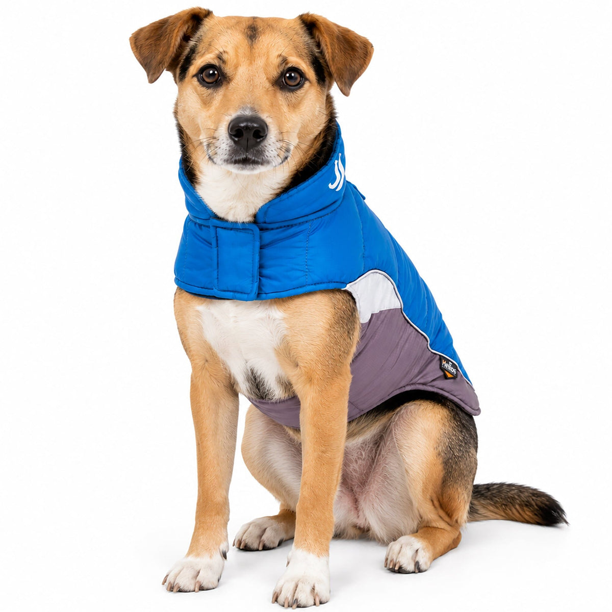 Dog Helios Hurricane-Waded Plush 3M Reflective Insulated Winter Dog Coat | HT Animal Supply