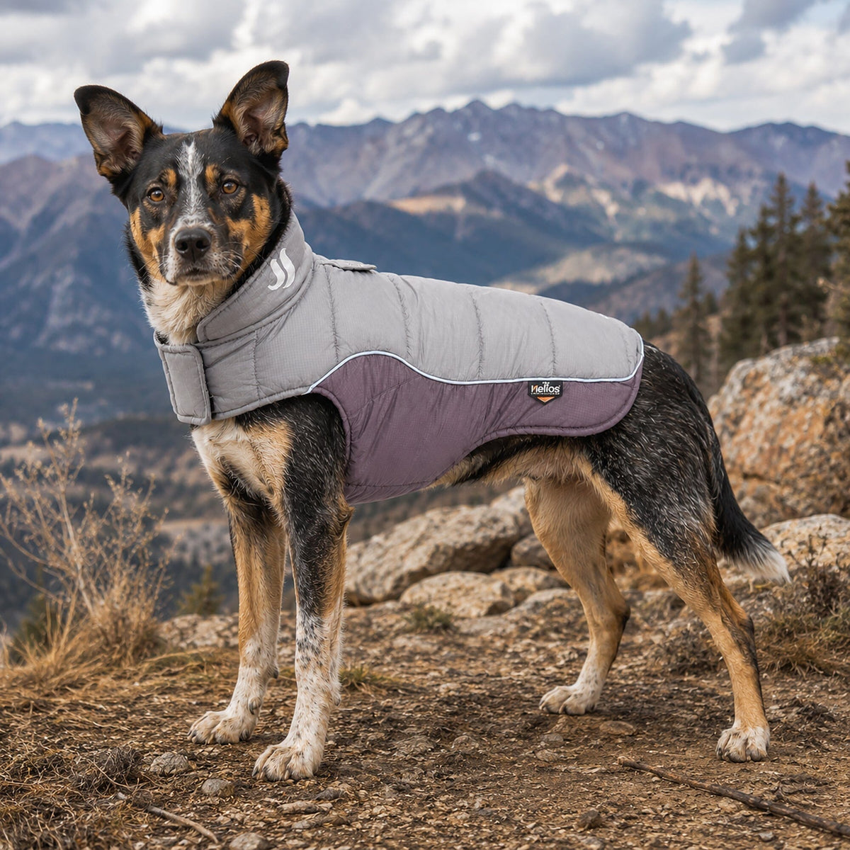 Dog Helios Hurricane-Waded Plush 3M Reflective Insulated Winter Dog Coat | HT Animal Supply
