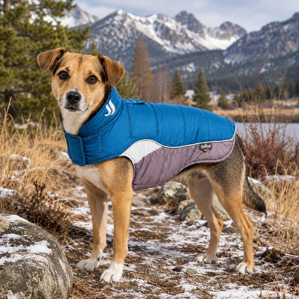 Dog Helios Hurricane-Waded Plush 3M Reflective Insulated Winter Dog Coat | HT Animal Supply