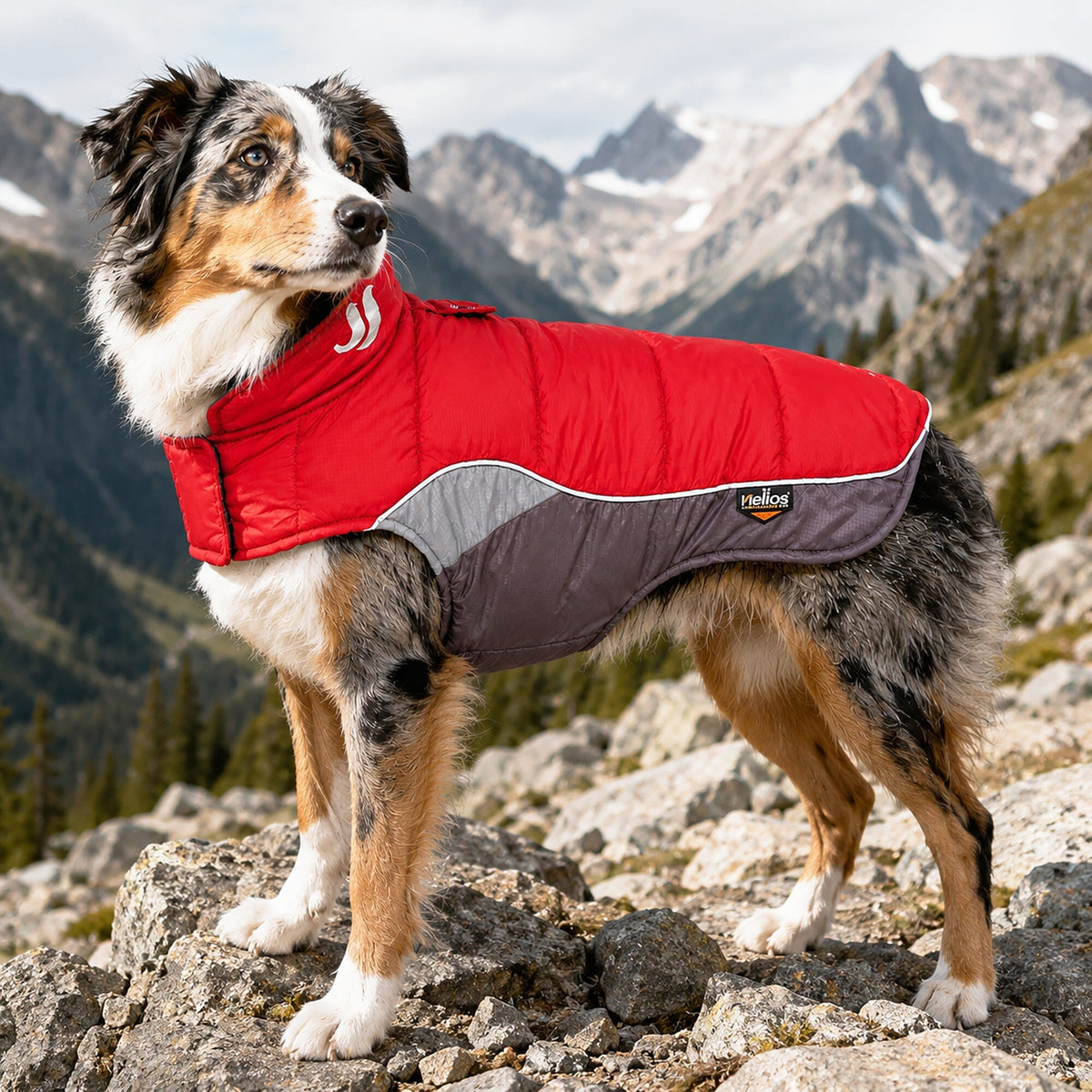 Dog Helios Hurricane-Waded Plush 3M Reflective Insulated Winter Dog Coat | HT Animal Supply