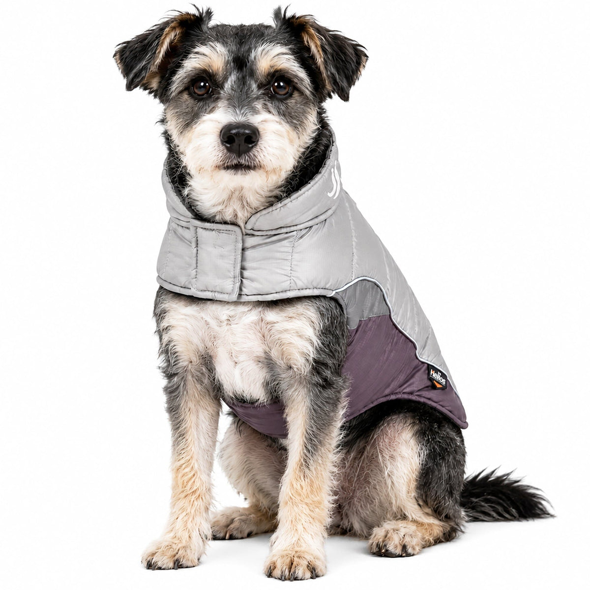 Dog Helios Hurricane-Waded Plush 3M Reflective Insulated Winter Dog Coat | HT Animal Supply