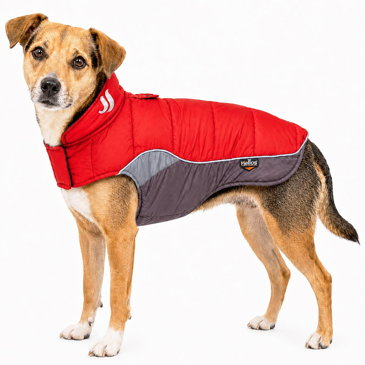 Dog Helios Hurricane-Waded Plush 3M Reflective Insulated Winter Dog Coat | HT Animal Supply