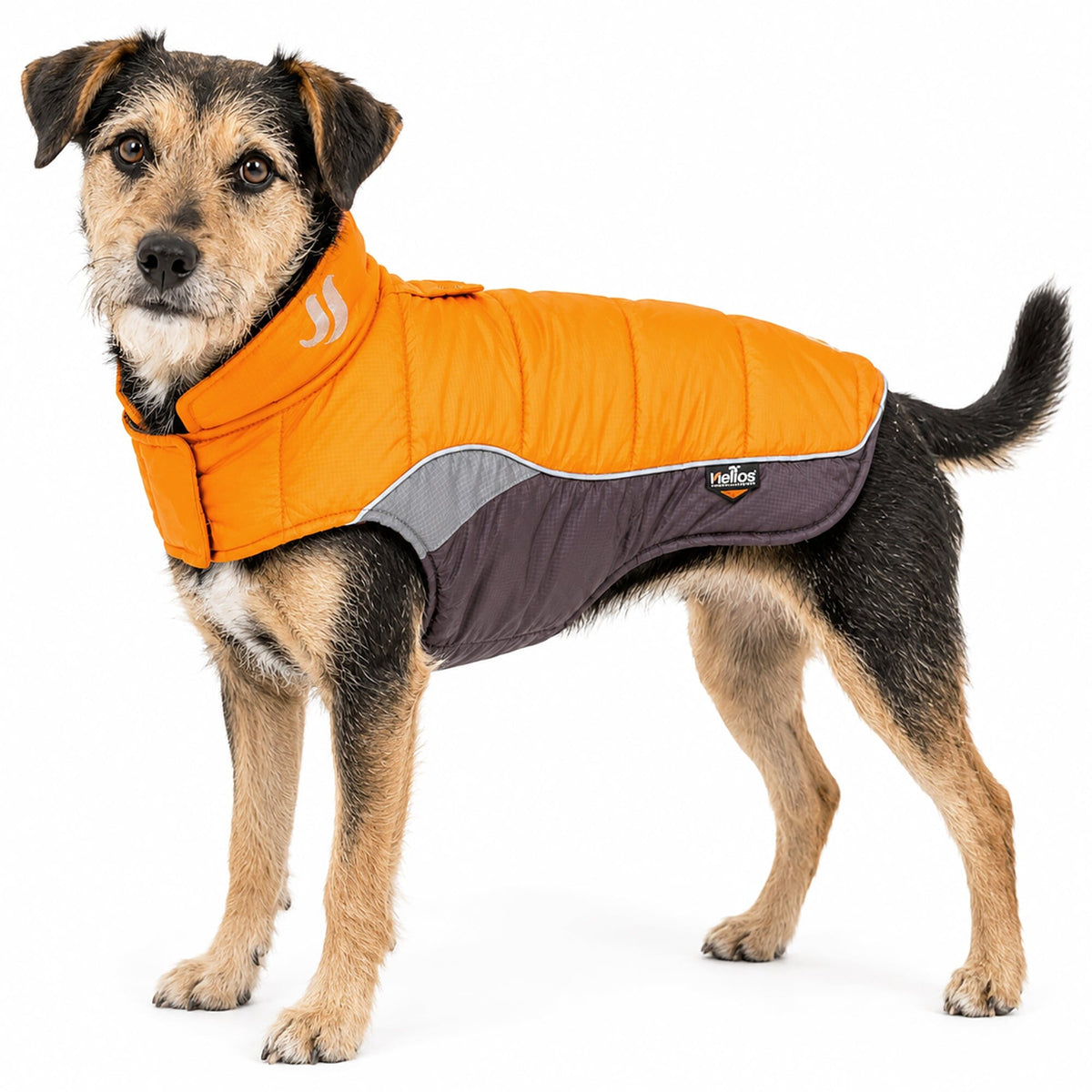Dog Helios Hurricane-Waded Plush 3M Reflective Insulated Winter Dog Coat | HT Animal Supply