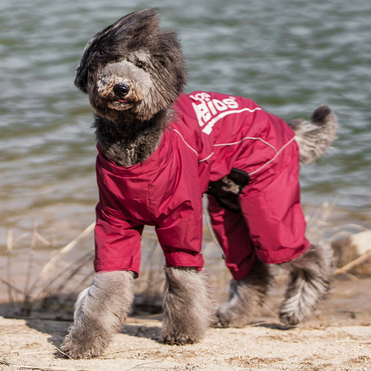 Dog Helios Hurricanine Waterproof and Reflective Full Body Dog Coat | HT Animal Supply