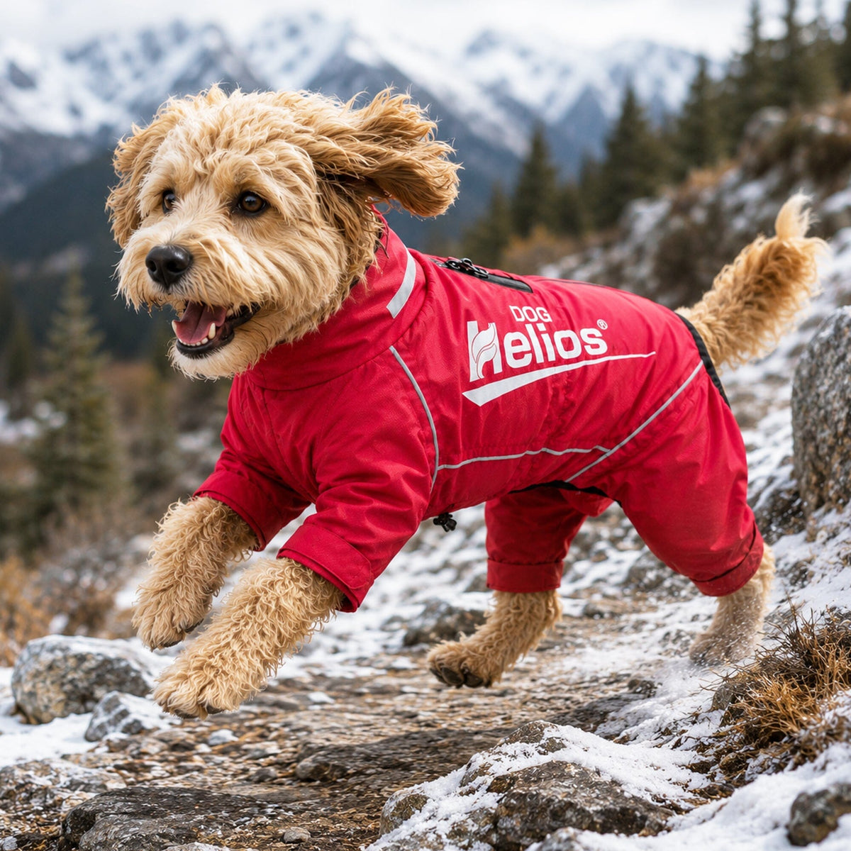 Dog Helios Hurricanine Waterproof and Reflective Full Body Dog Coat | HT Animal Supply