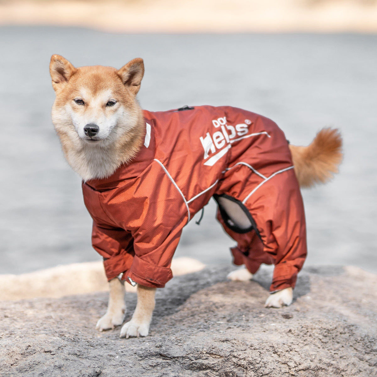 Dog Helios Hurricanine Waterproof and Reflective Full Body Dog Coat | HT Animal Supply