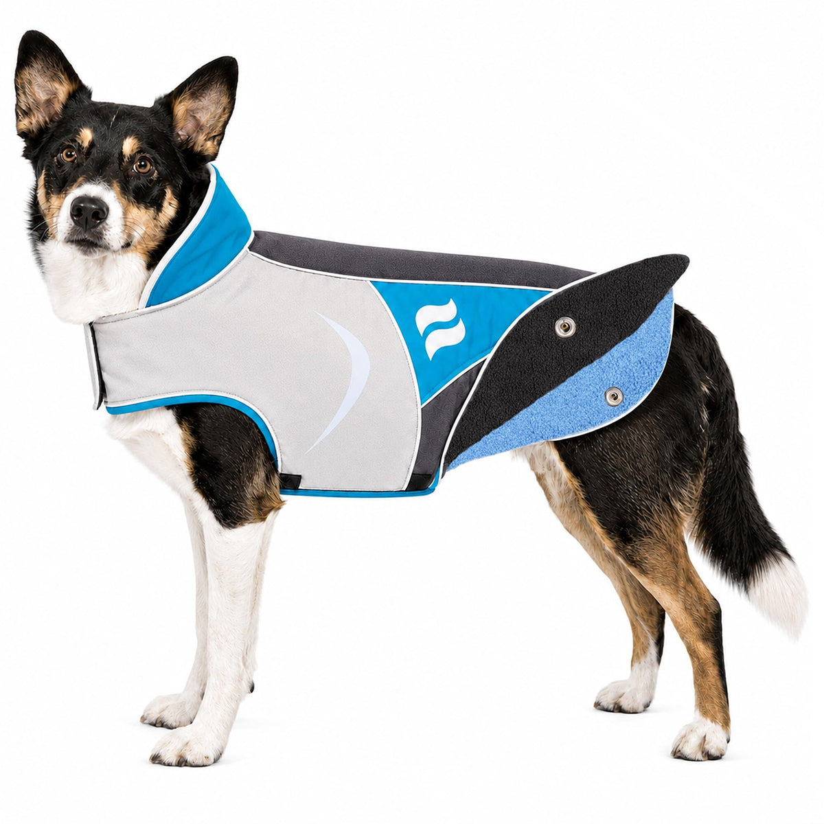 Dog Helios Lotus-Rusher 2-in-1 Dual-Removable Layered Performance Dog Jacket | HT Animal Supply
