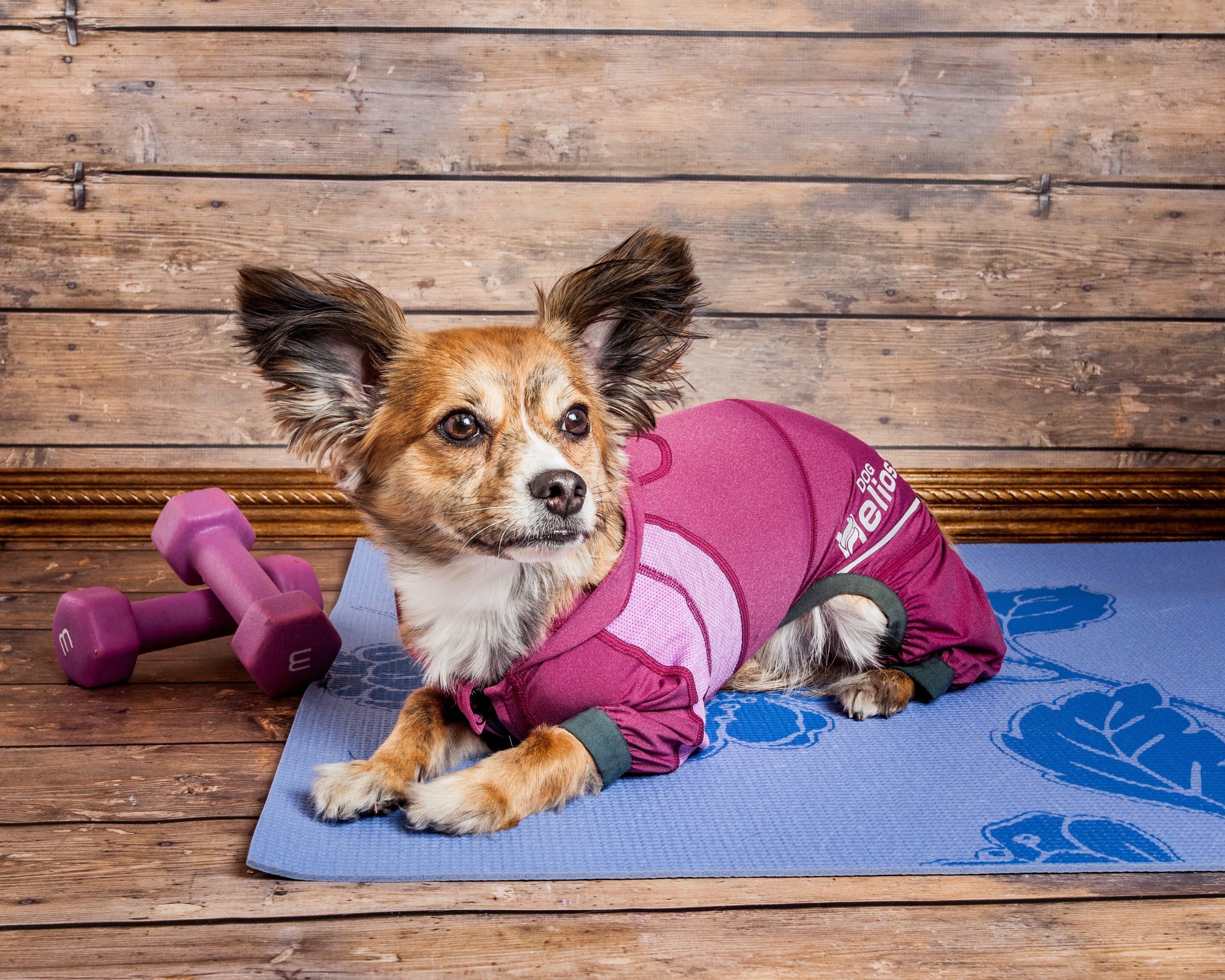 Dog Helios Namastail Lightweight 4-Way-Stretch Yoga Performance Dog Tracksuit Hoodie