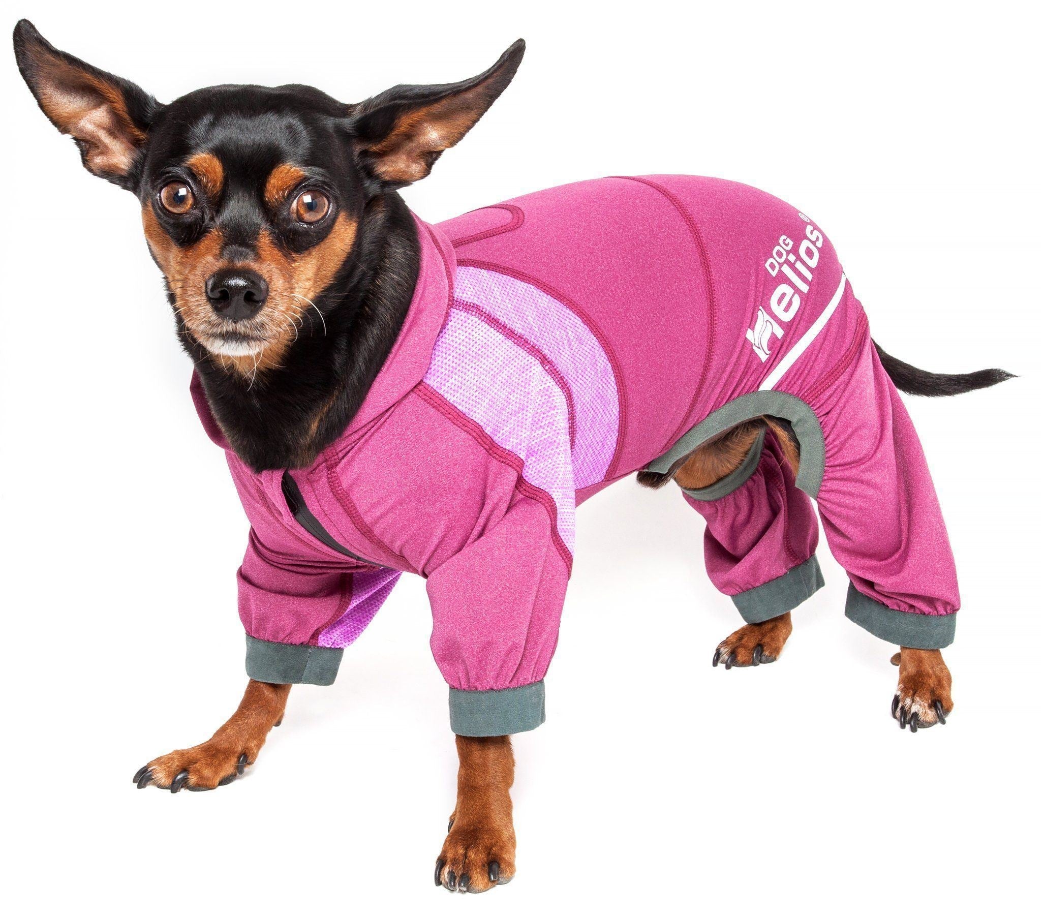Dog Helios Namastail Lightweight 4-Way-Stretch Yoga Performance Dog Tracksuit Hoodie