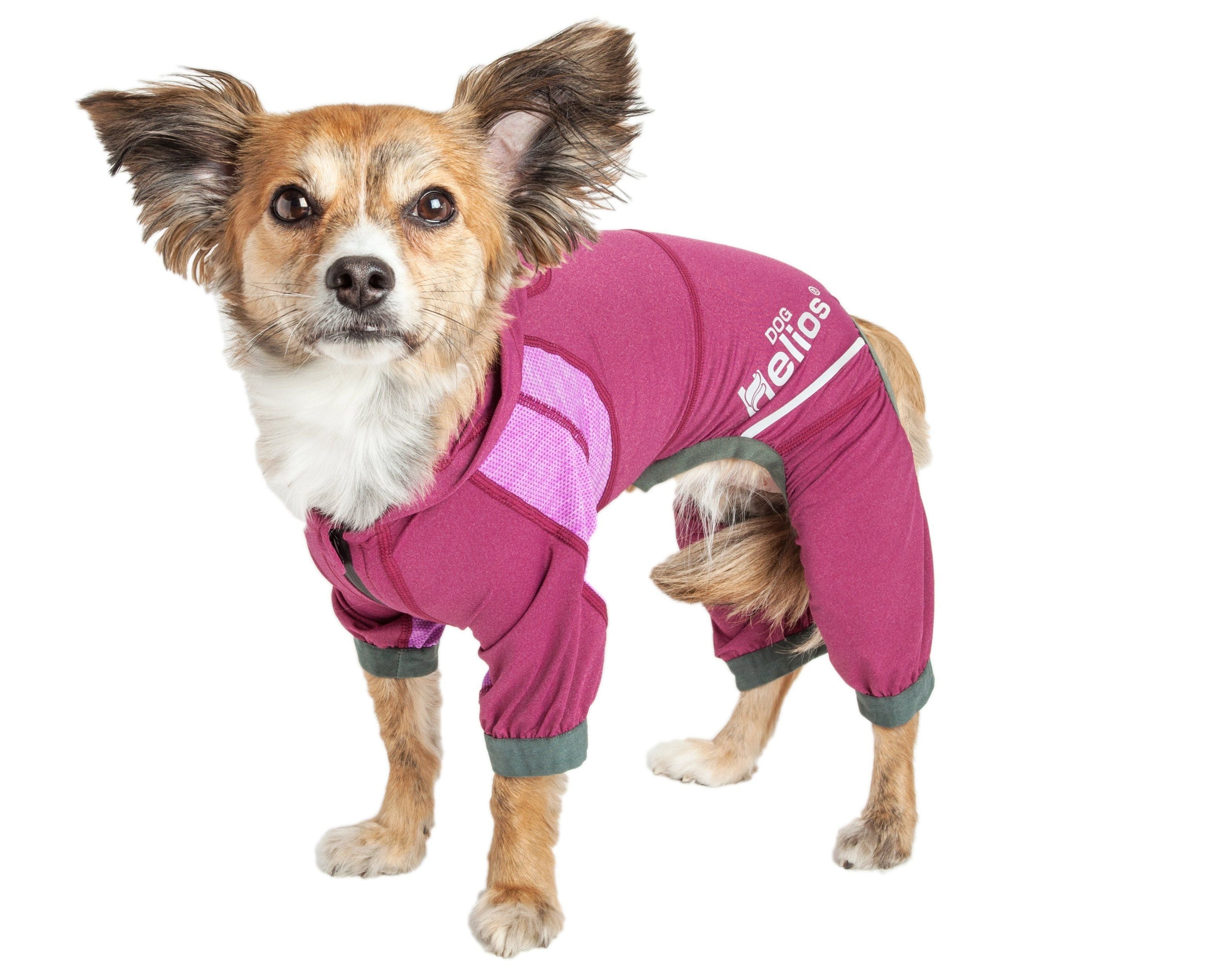 Dog Helios Namastail Lightweight 4-Way-Stretch Yoga Performance Dog Tracksuit Hoodie
