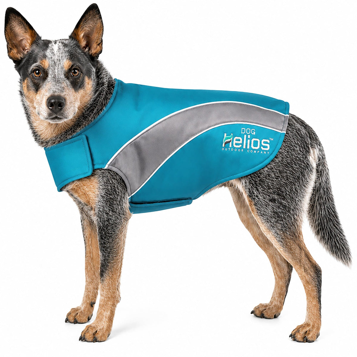 Dog Helios Octane Reflective Soft-Shell Neoprene Performance Dog Coat | HT Animal Supply