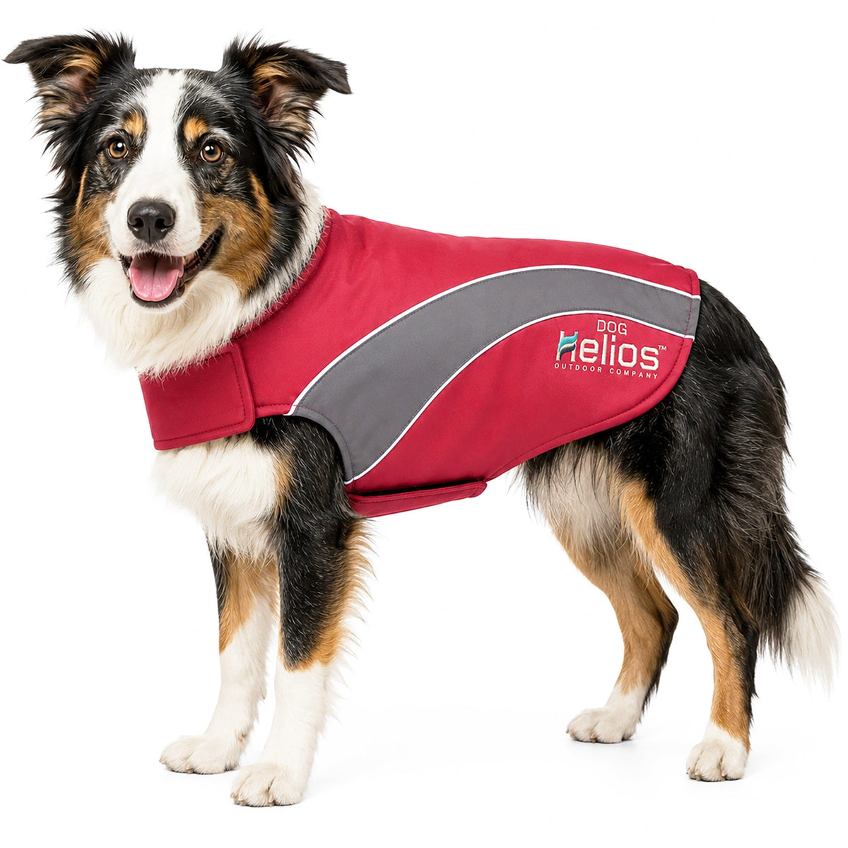 Dog Helios Octane Reflective Soft-Shell Neoprene Performance Dog Coat | HT Animal Supply