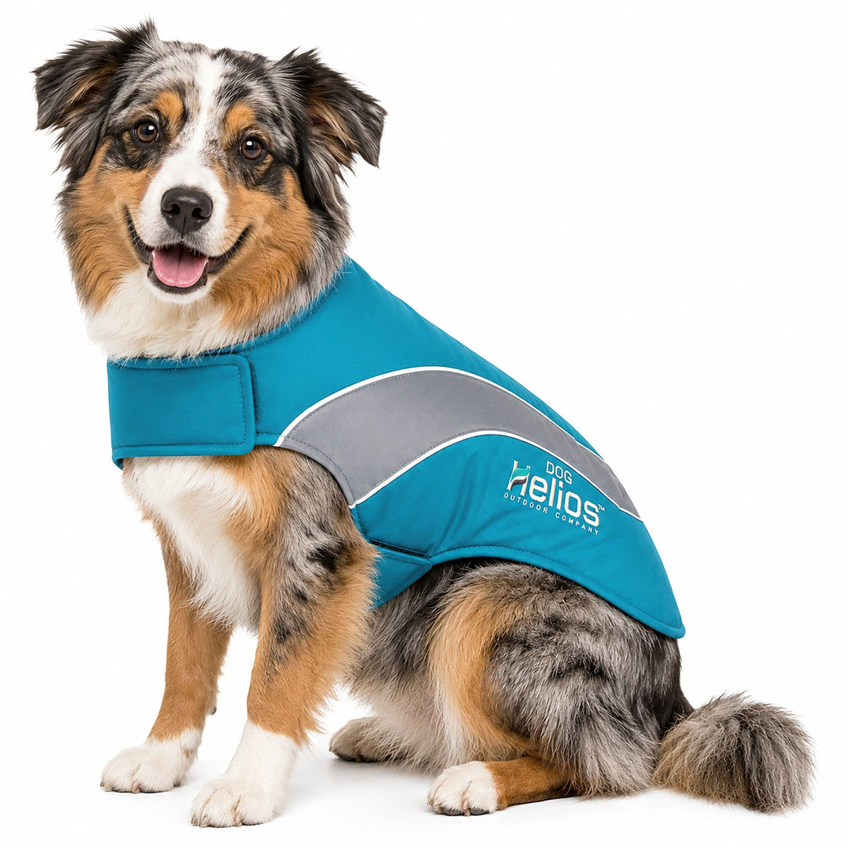 Dog Helios Octane Reflective Soft-Shell Neoprene Performance Dog Coat | HT Animal Supply