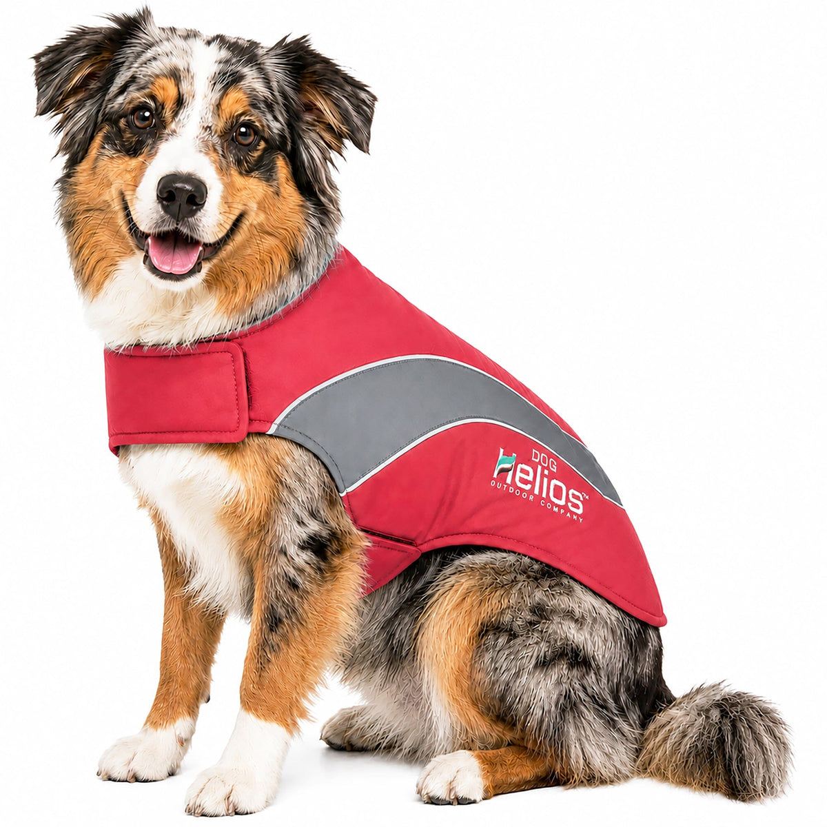 Dog Helios Octane Reflective Soft-Shell Neoprene Performance Dog Coat | HT Animal Supply
