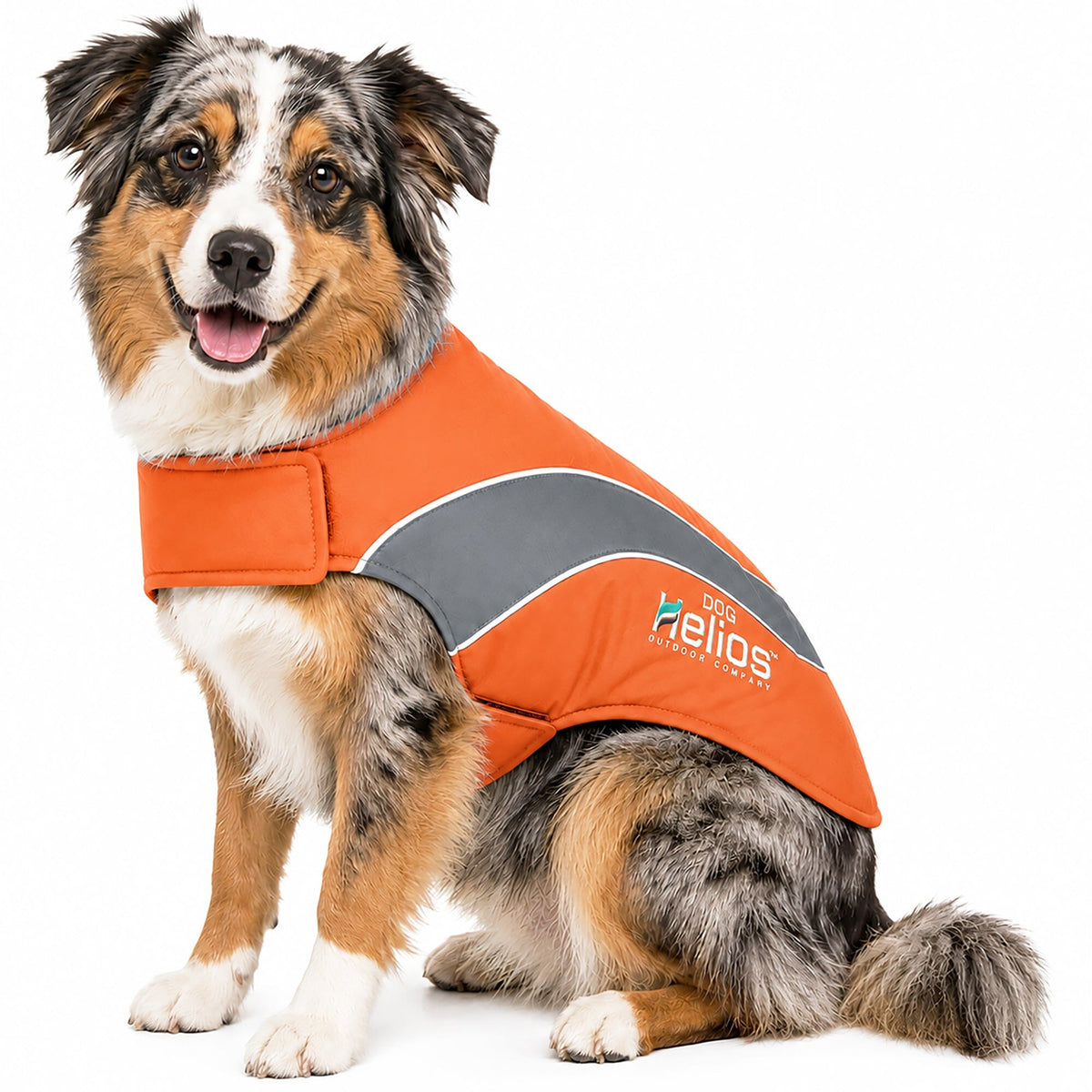Dog Helios Octane Reflective Soft-Shell Neoprene Performance Dog Coat | HT Animal Supply