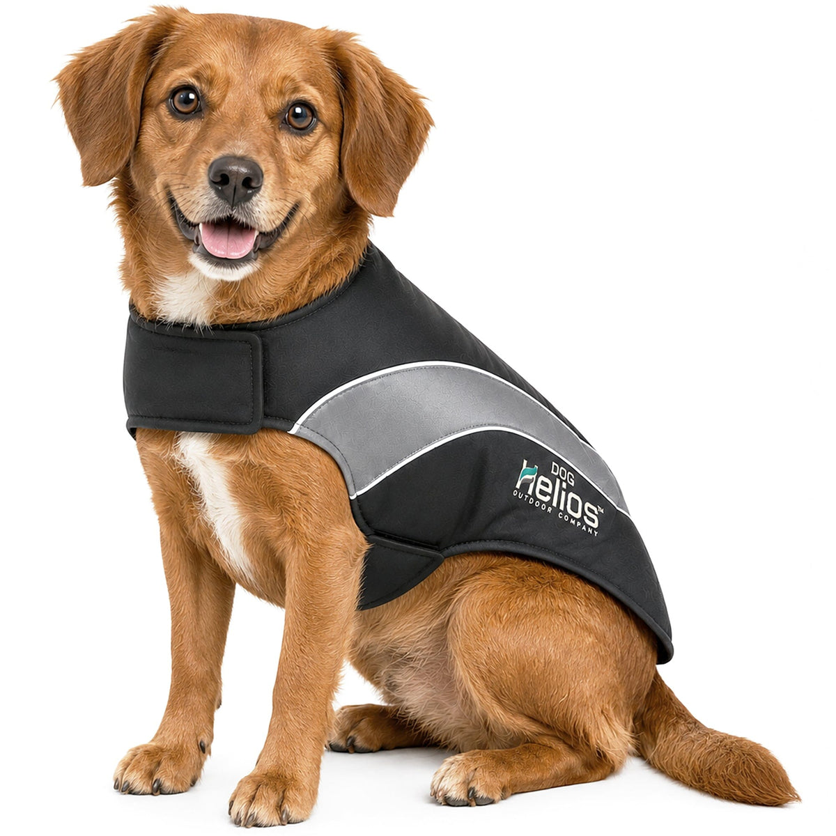 Dog Helios Octane Reflective Soft-Shell Neoprene Performance Dog Coat | HT Animal Supply