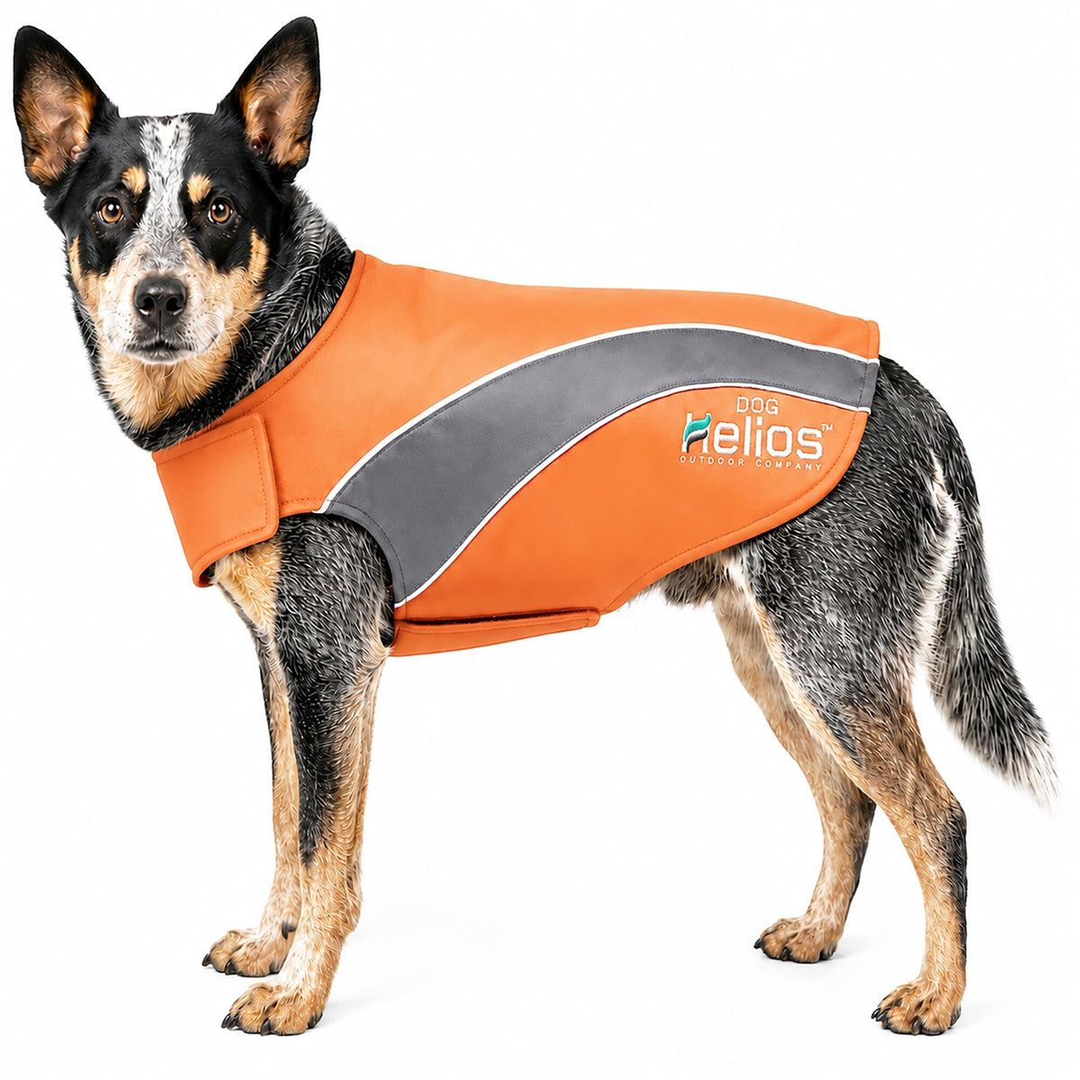 Dog Helios Octane Reflective Soft-Shell Neoprene Performance Dog Coat | HT Animal Supply